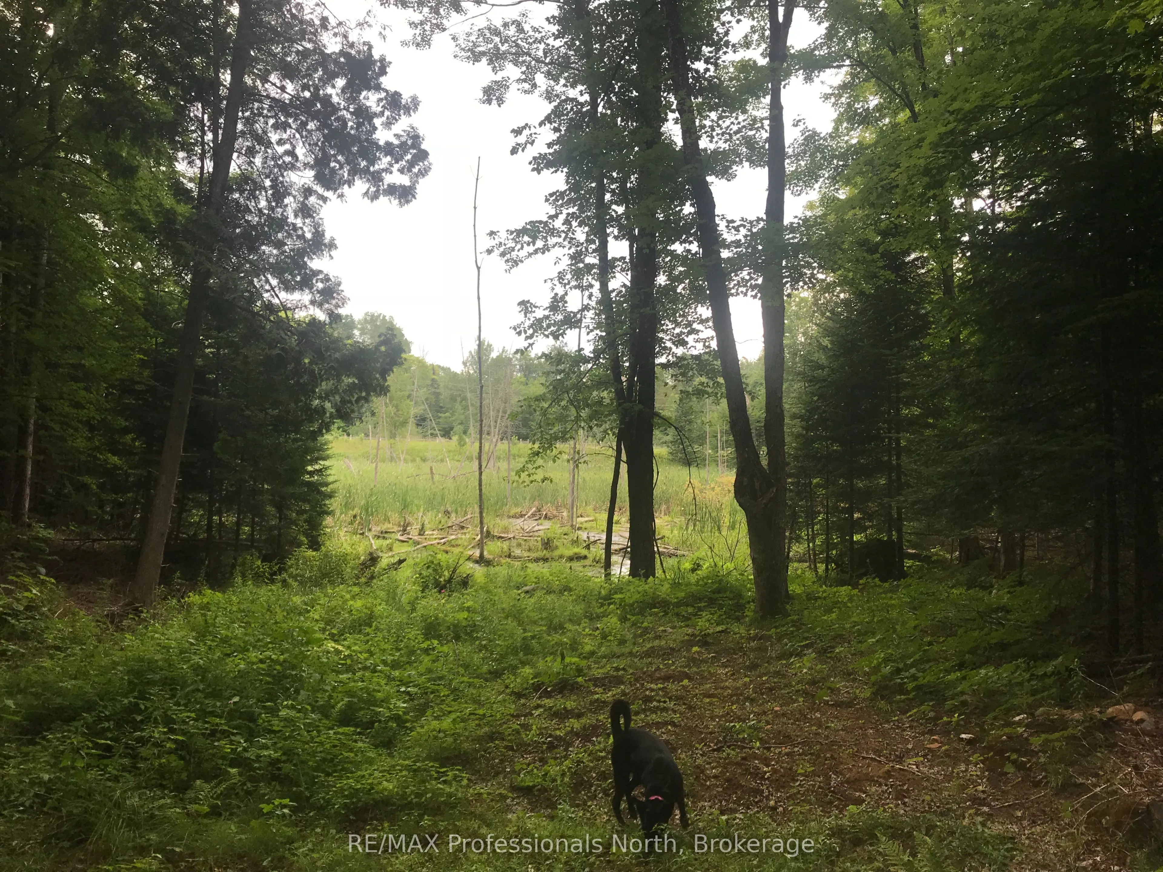 1645 South Lake Road