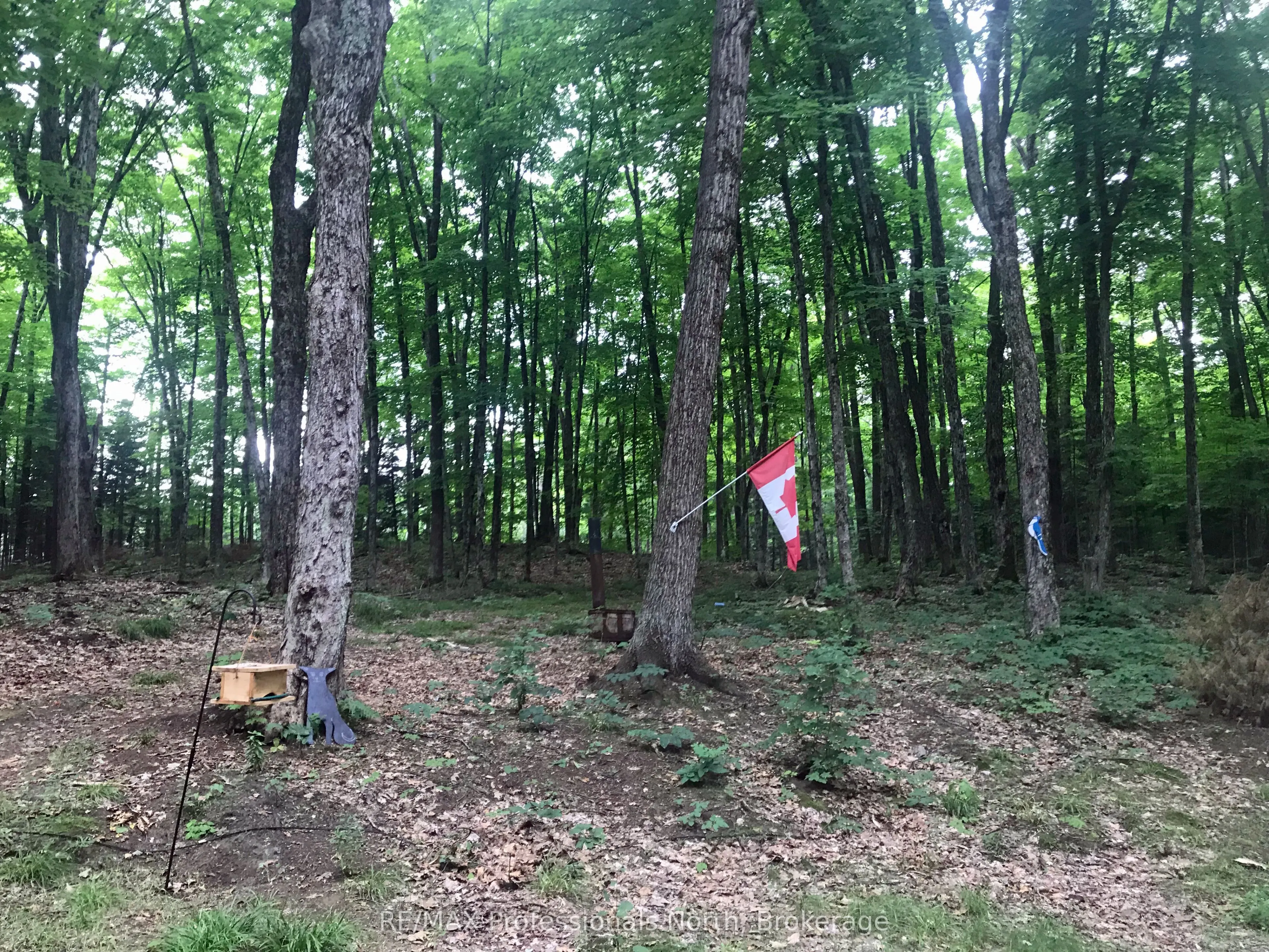 1645 South Lake Road