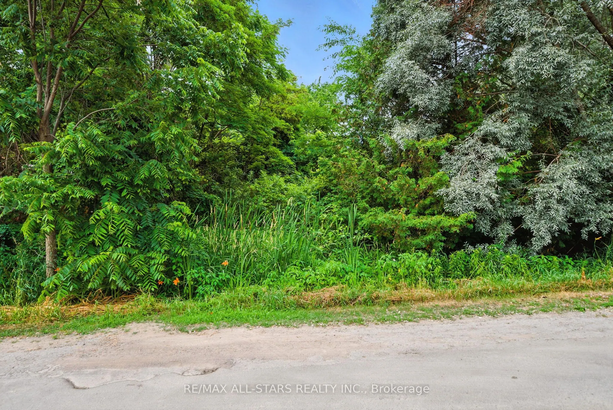 Lot 61 Summer Drive