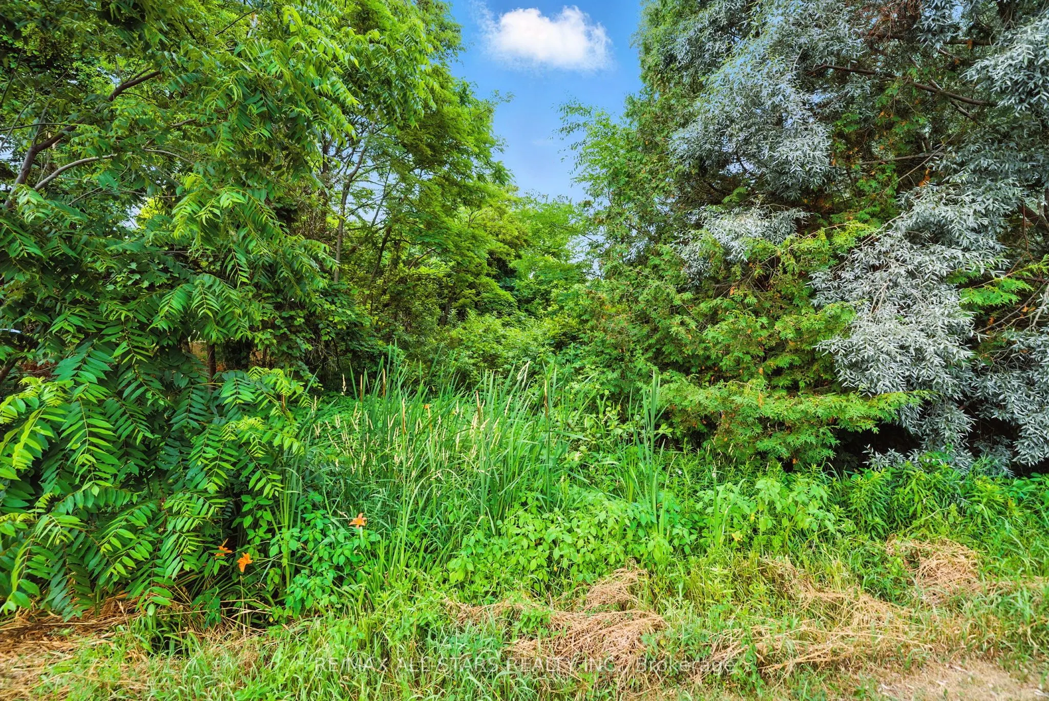 Lot 61 Summer Drive