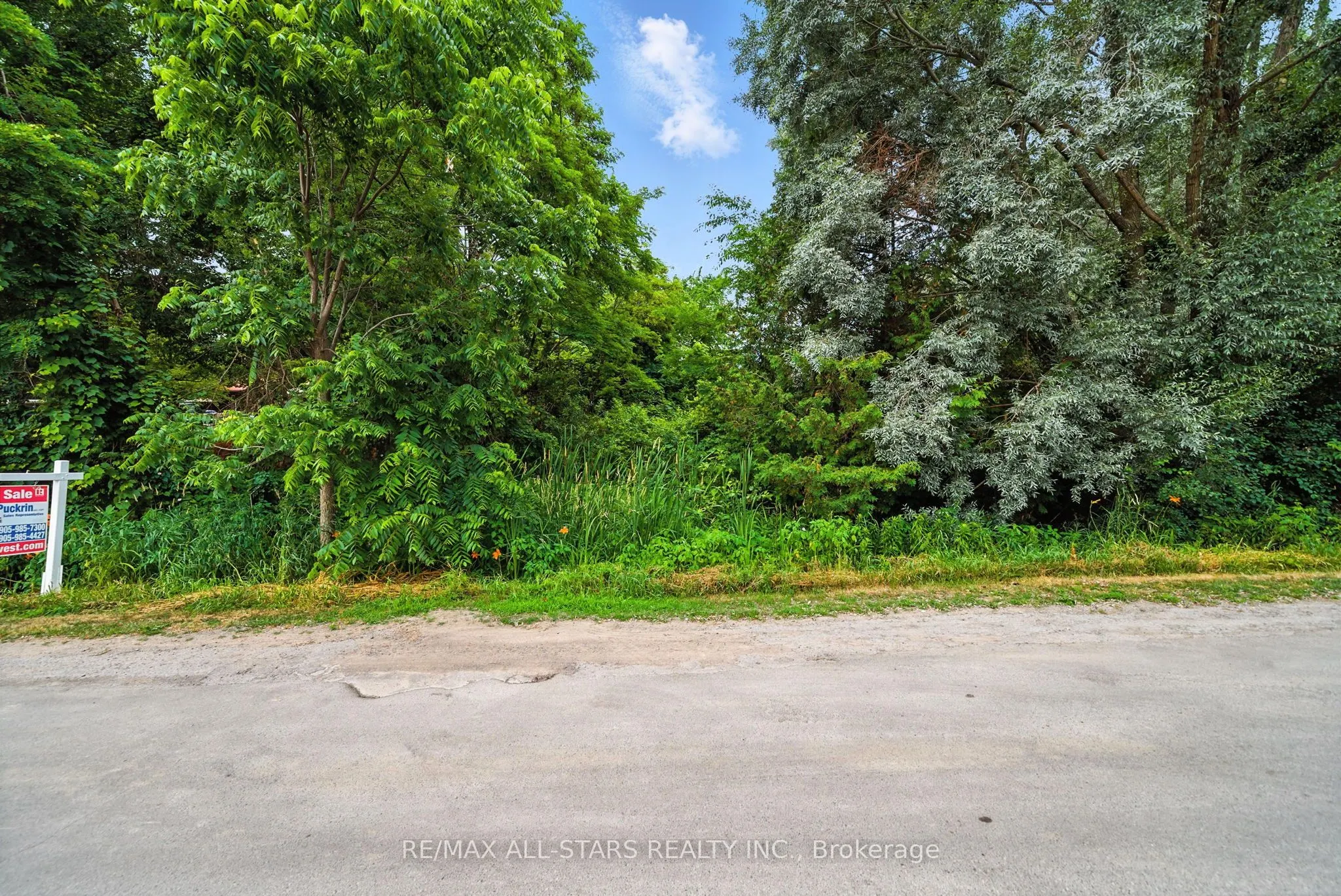 Lot 61 Summer Drive