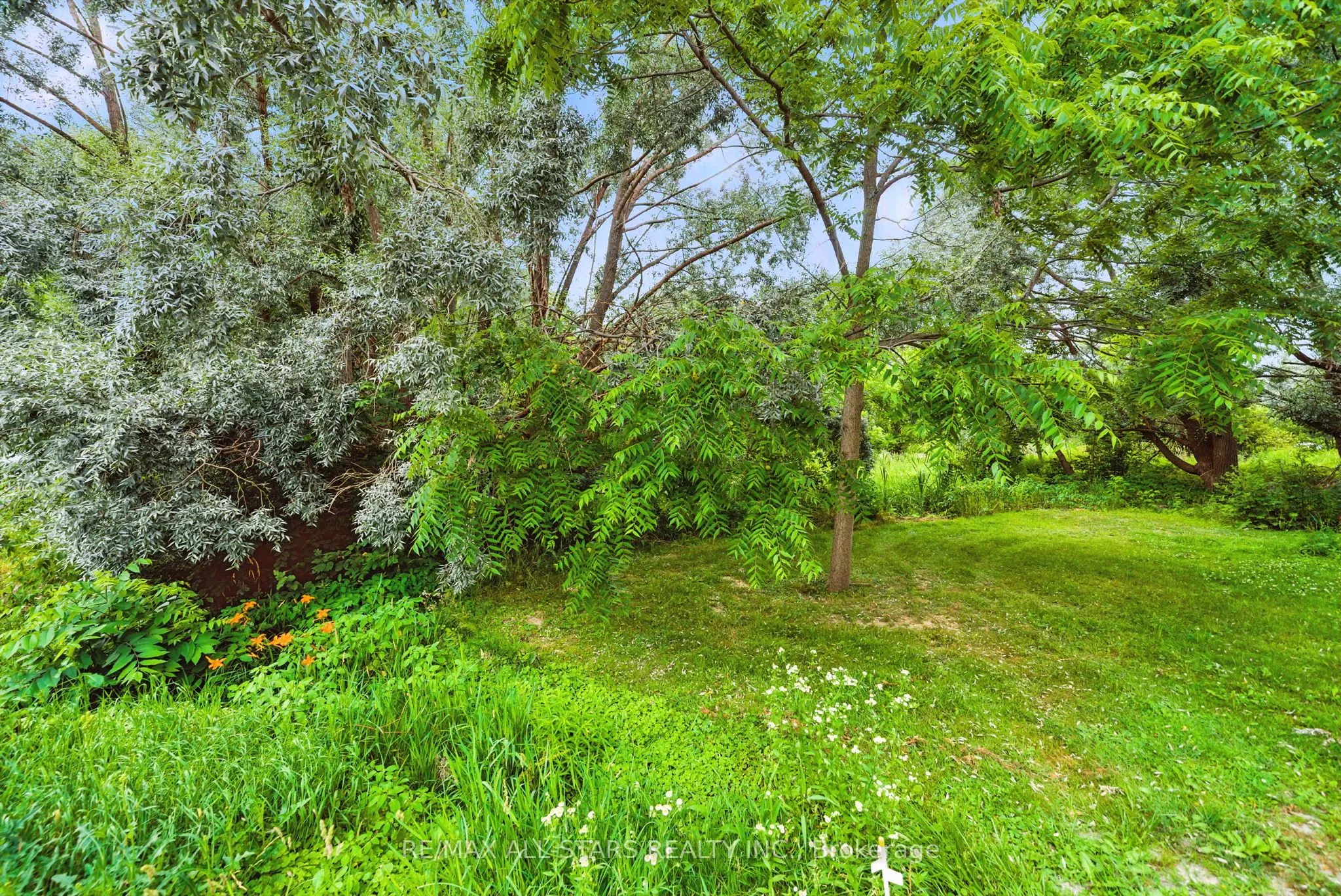 Lot 61 Summer Drive