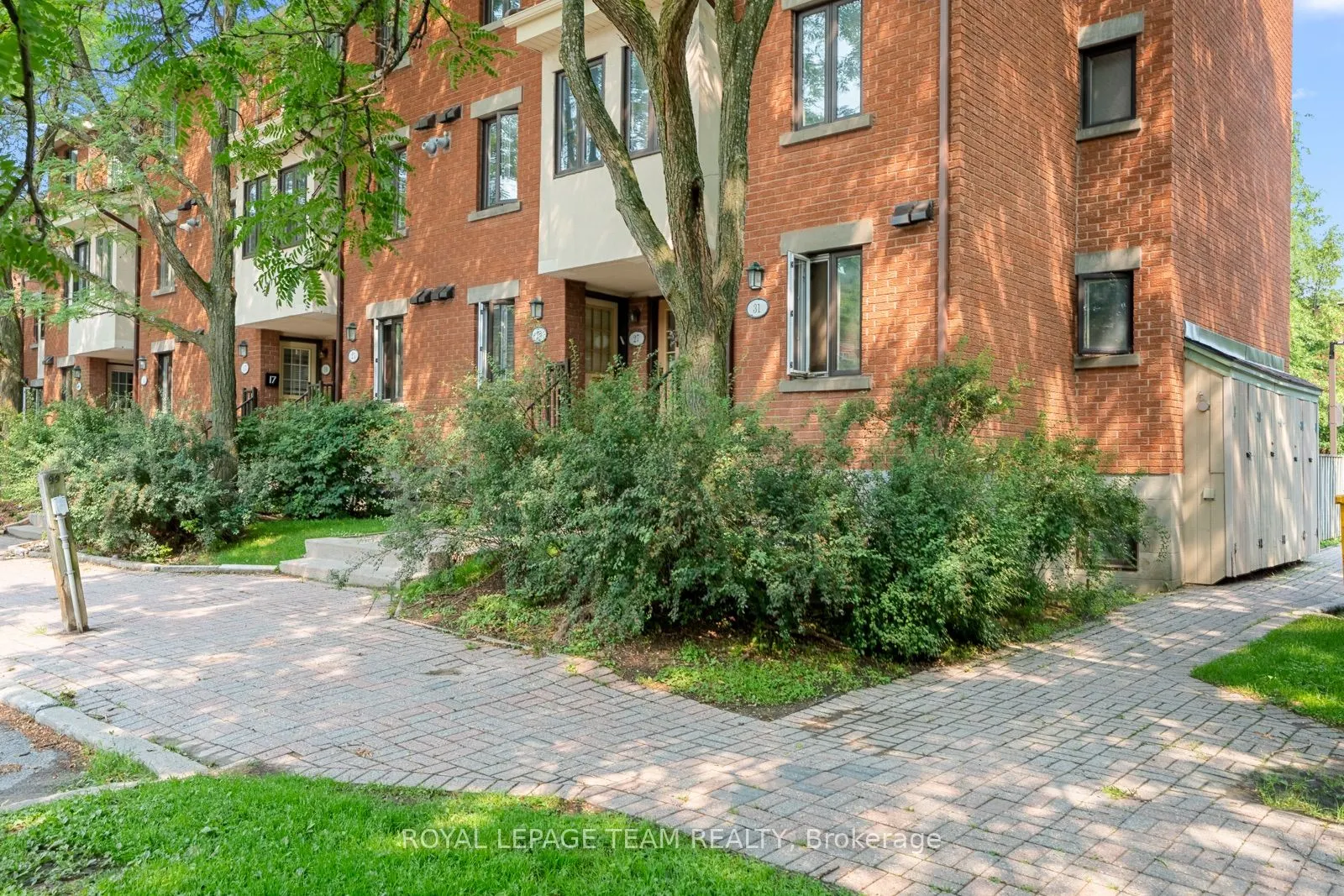 25 Sheba Private, #77