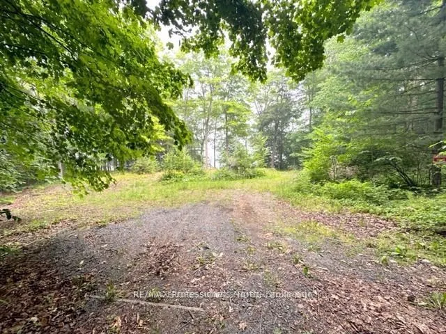 1167 Leon's Lane