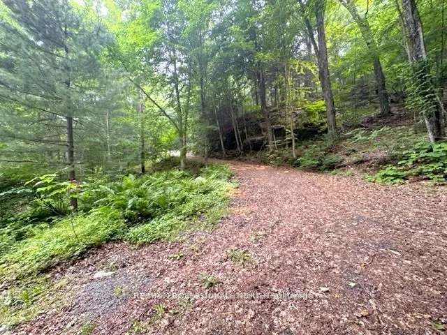 1167 Leon's Lane