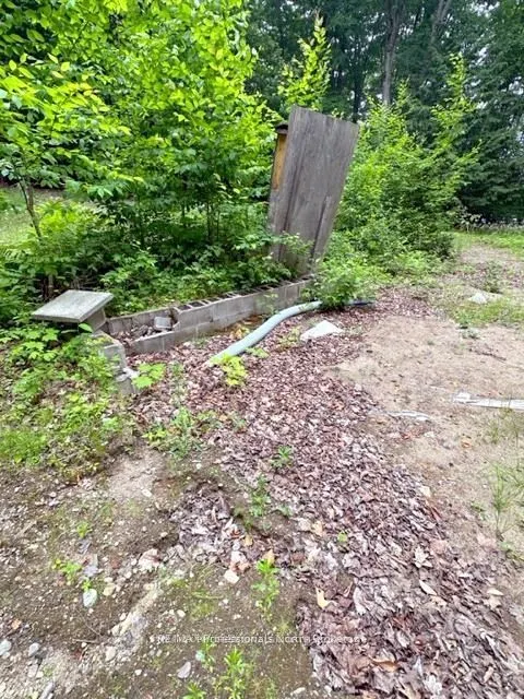 1167 Leon's Lane