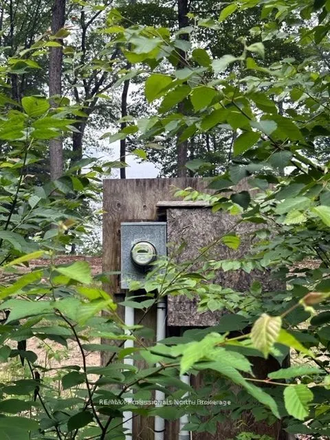 1167 Leon's Lane
