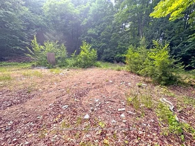 1167 Leon's Lane