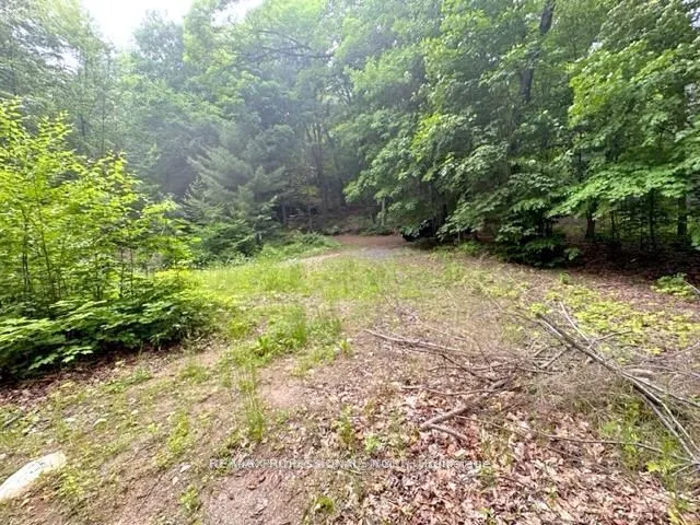 1167 Leon's Lane