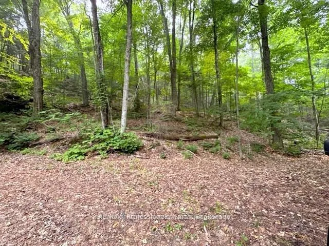 1167 Leon's Lane
