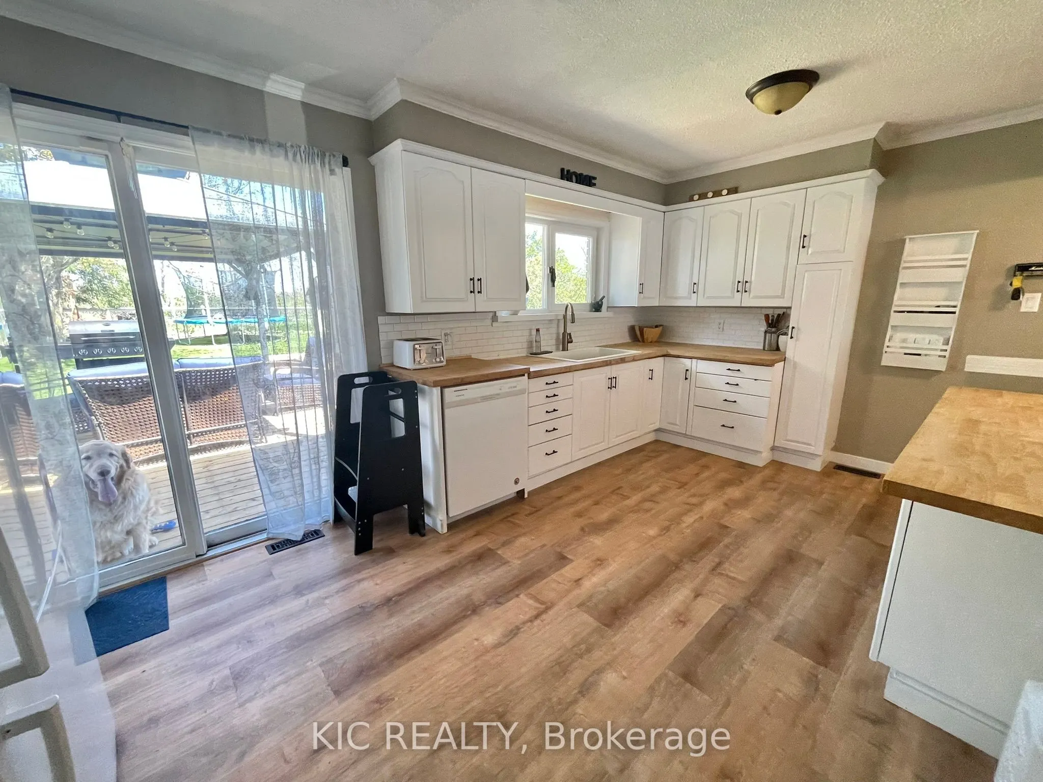 11 Mclean Avenue