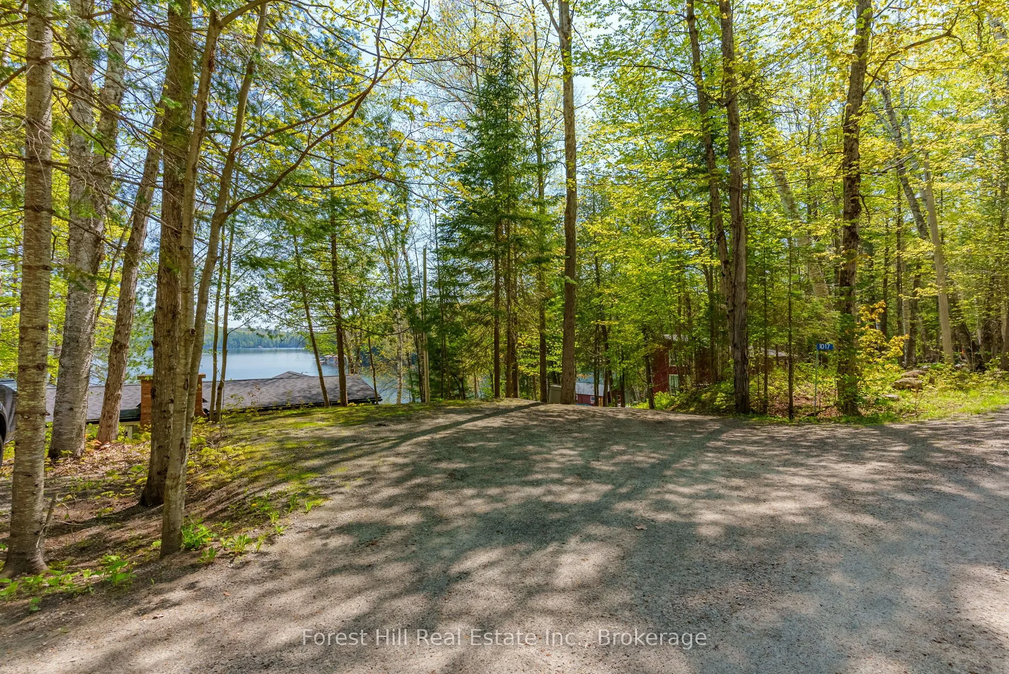 1017 WHITE PINE Road