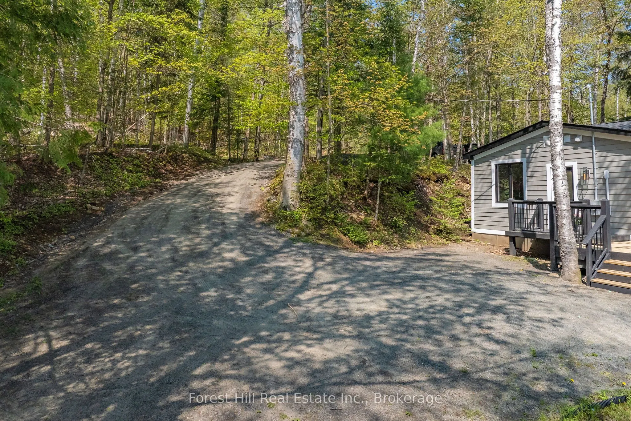 1017 WHITE PINE Road