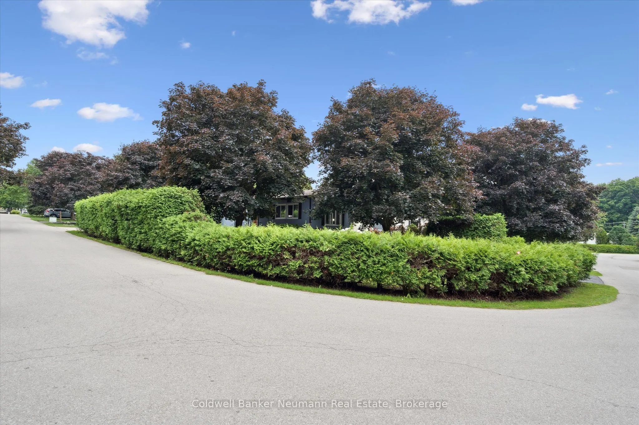1294 Concession 8 Road W, #93 Maple
