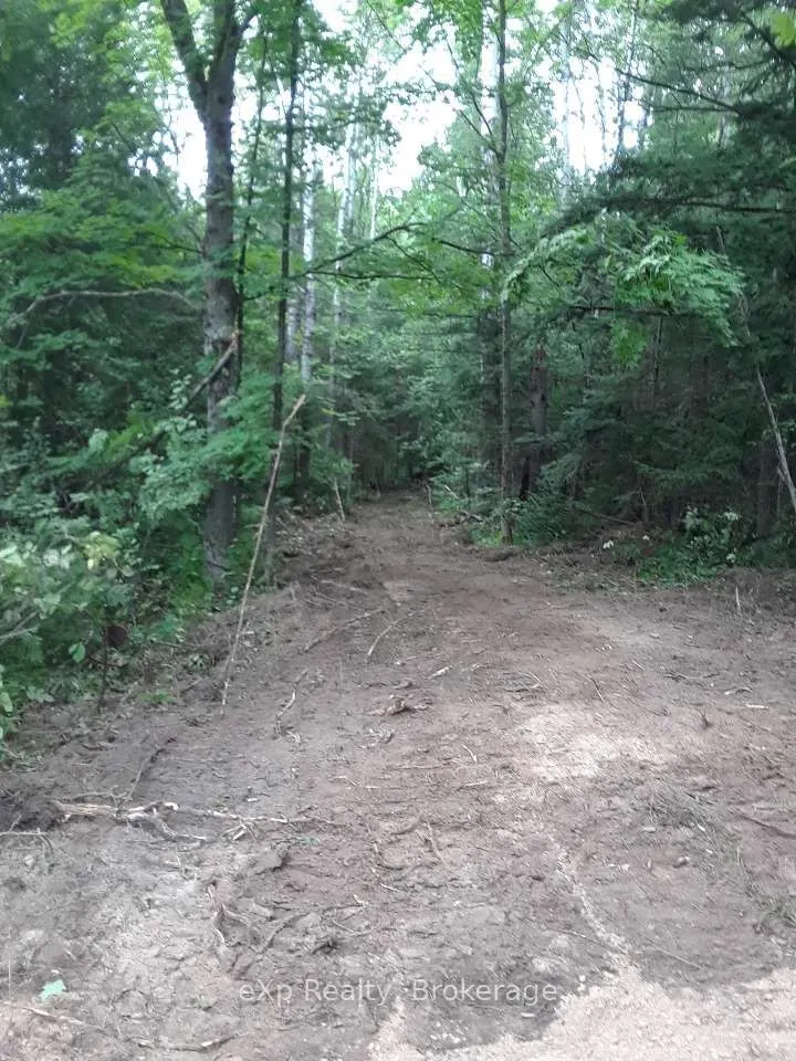 PTLT1-2 Concession Rd 3