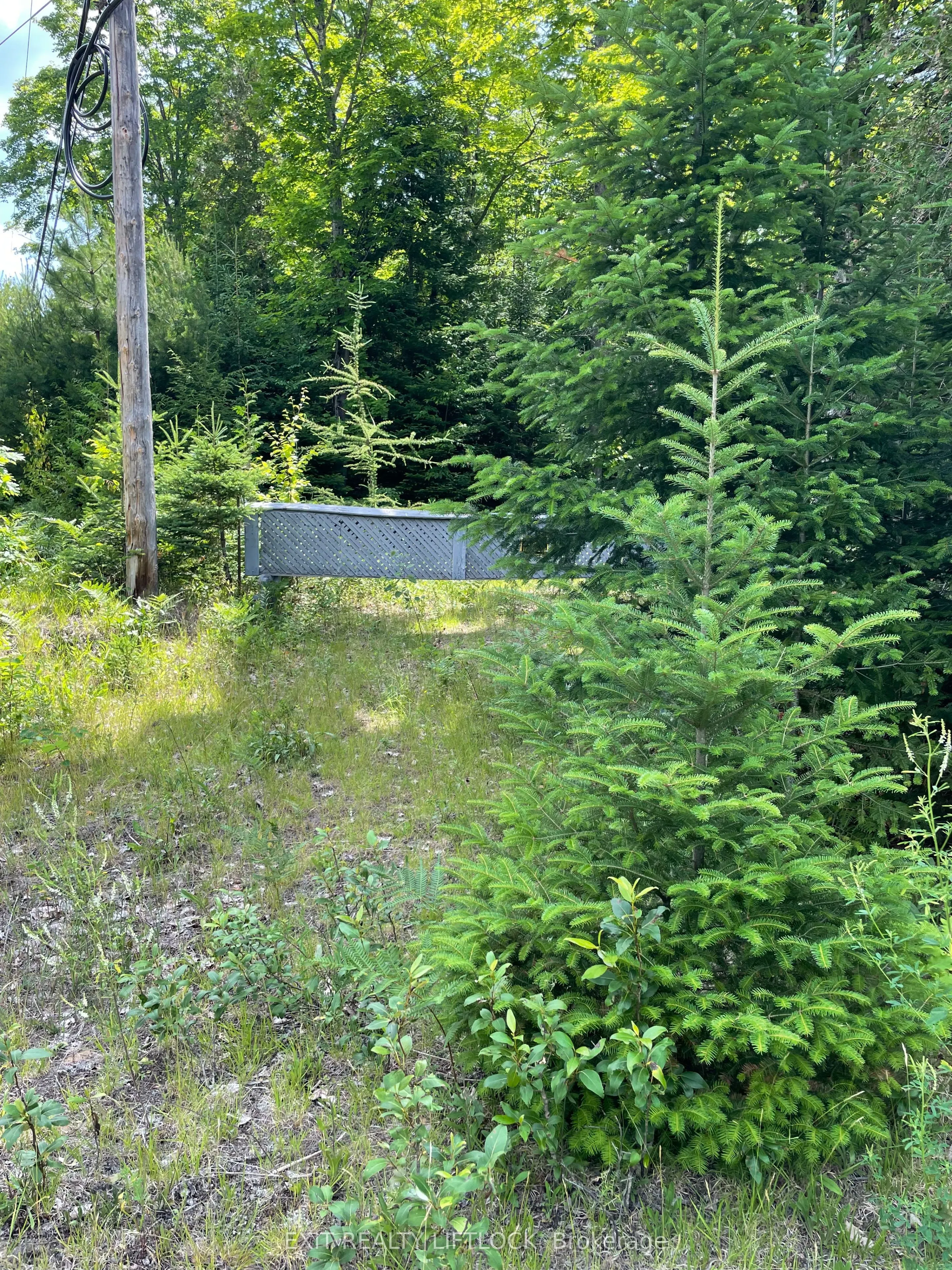 1387 County Road 620