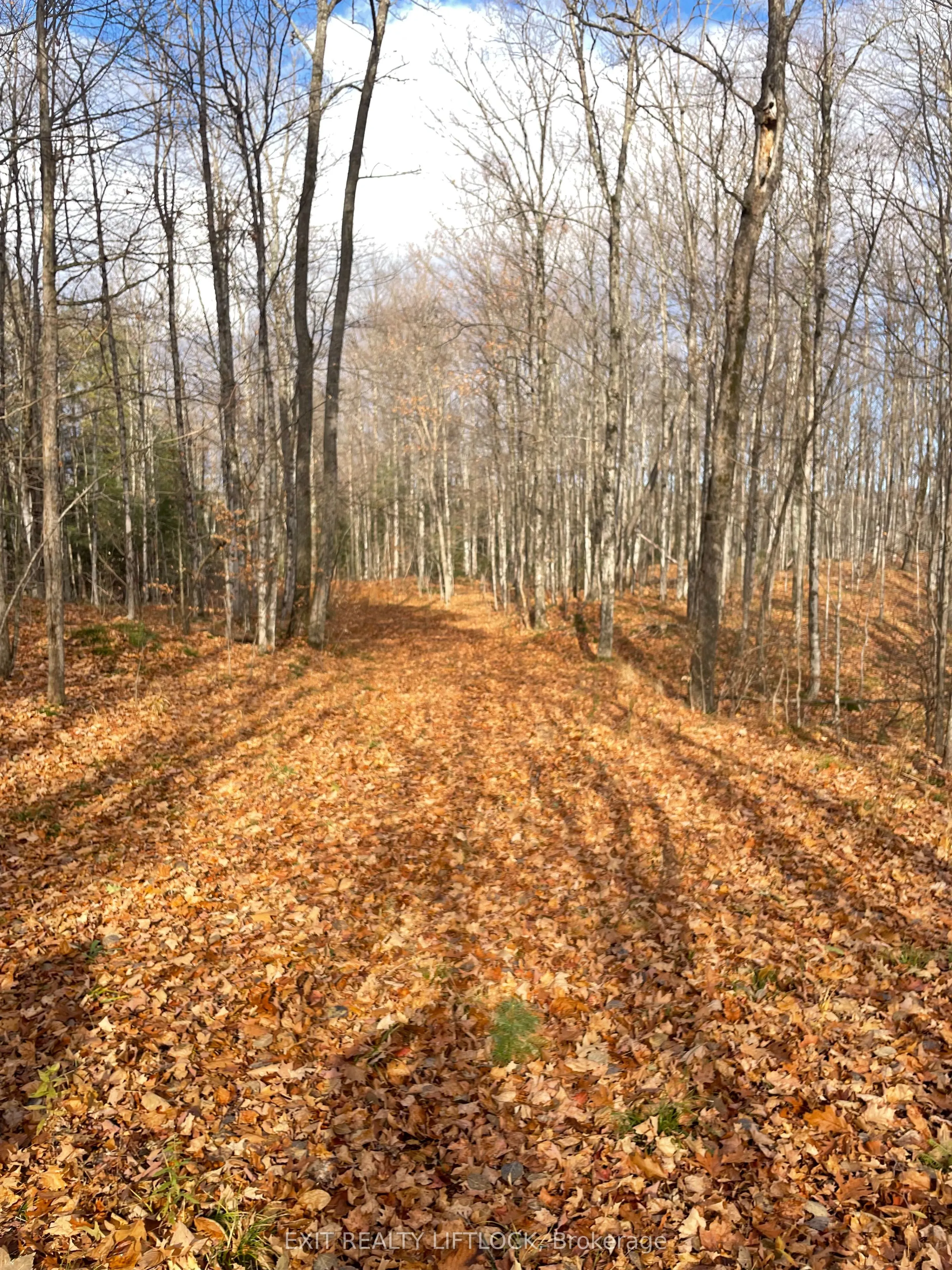 1387 County Road 620