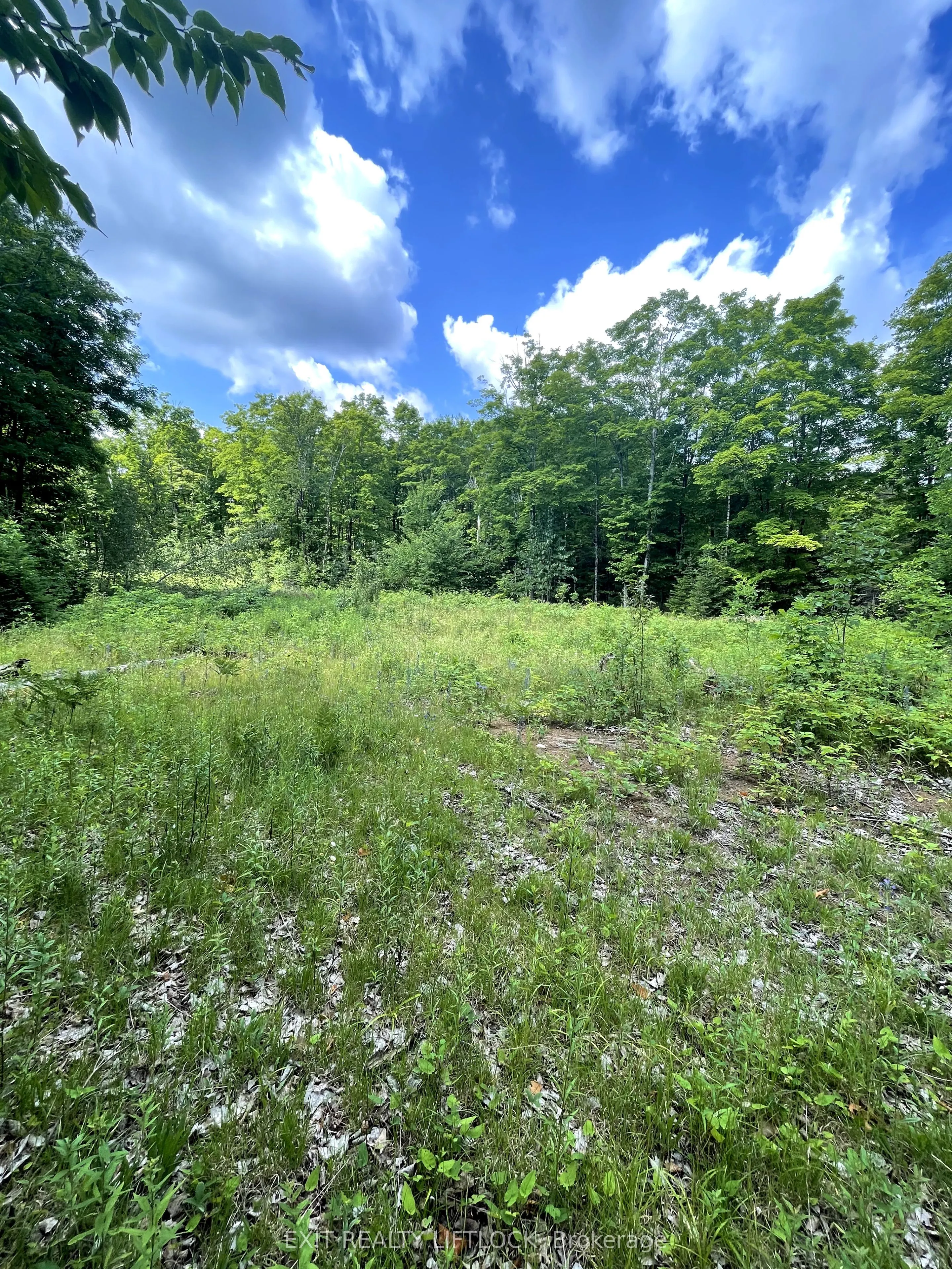 1387 County Road 620