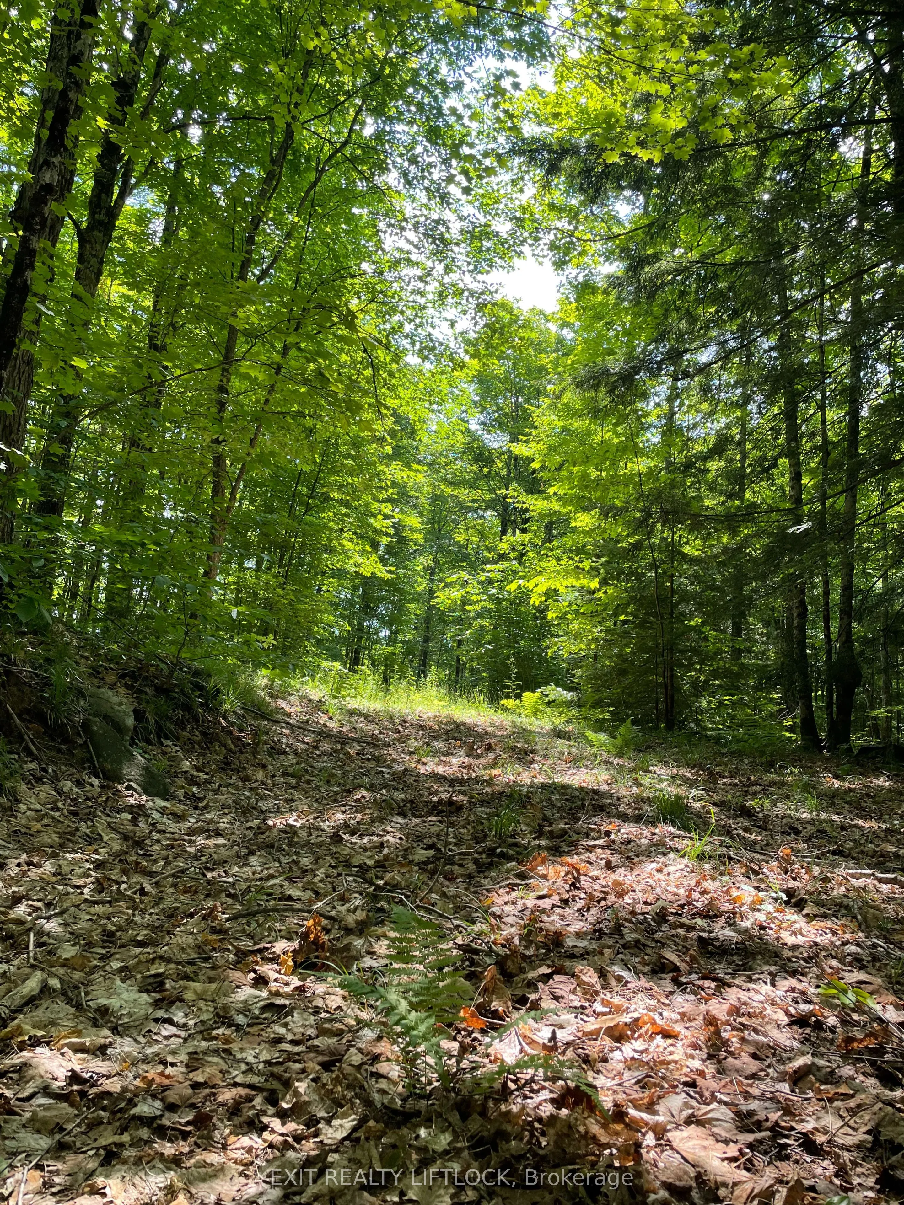 1387 County Road 620