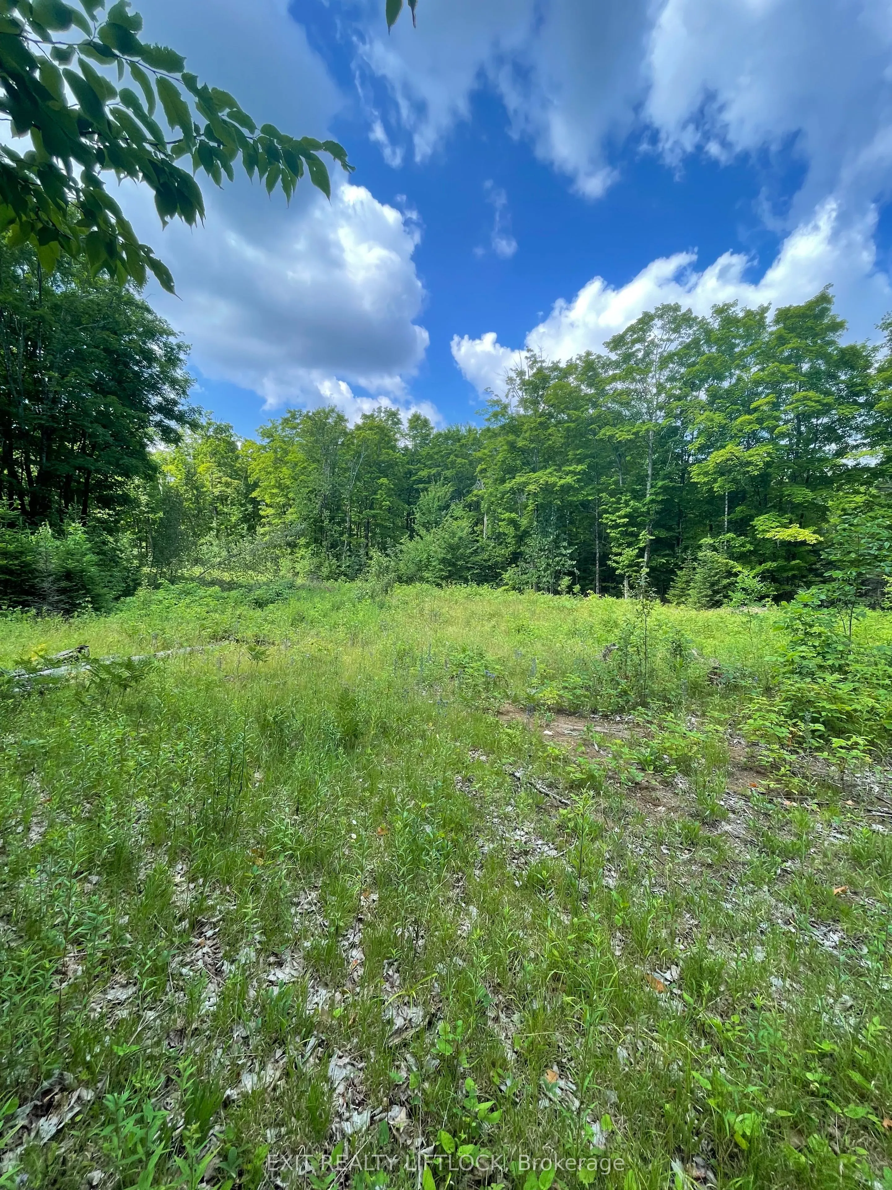 1387 County Road 620