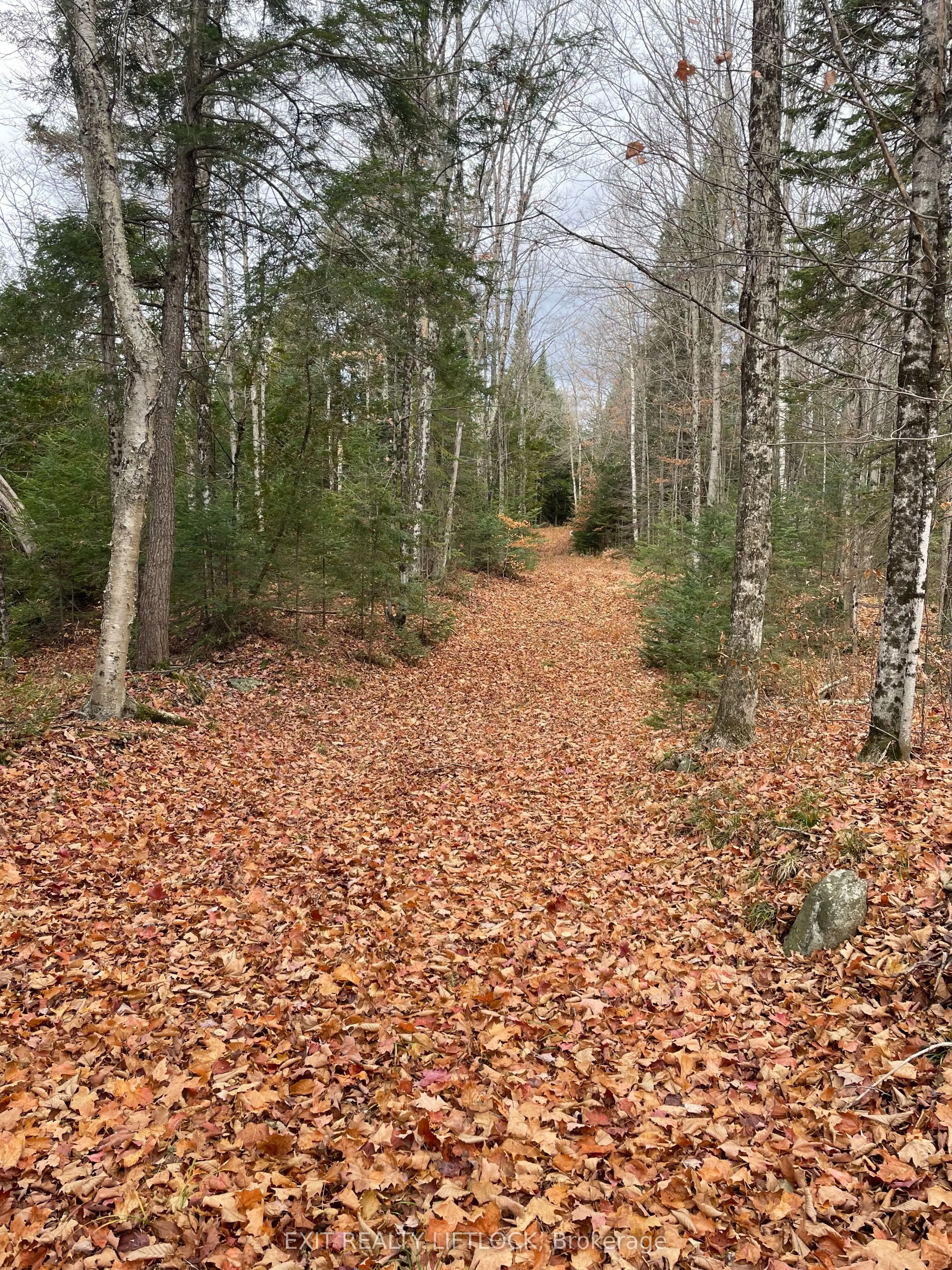 1387 County Road 620
