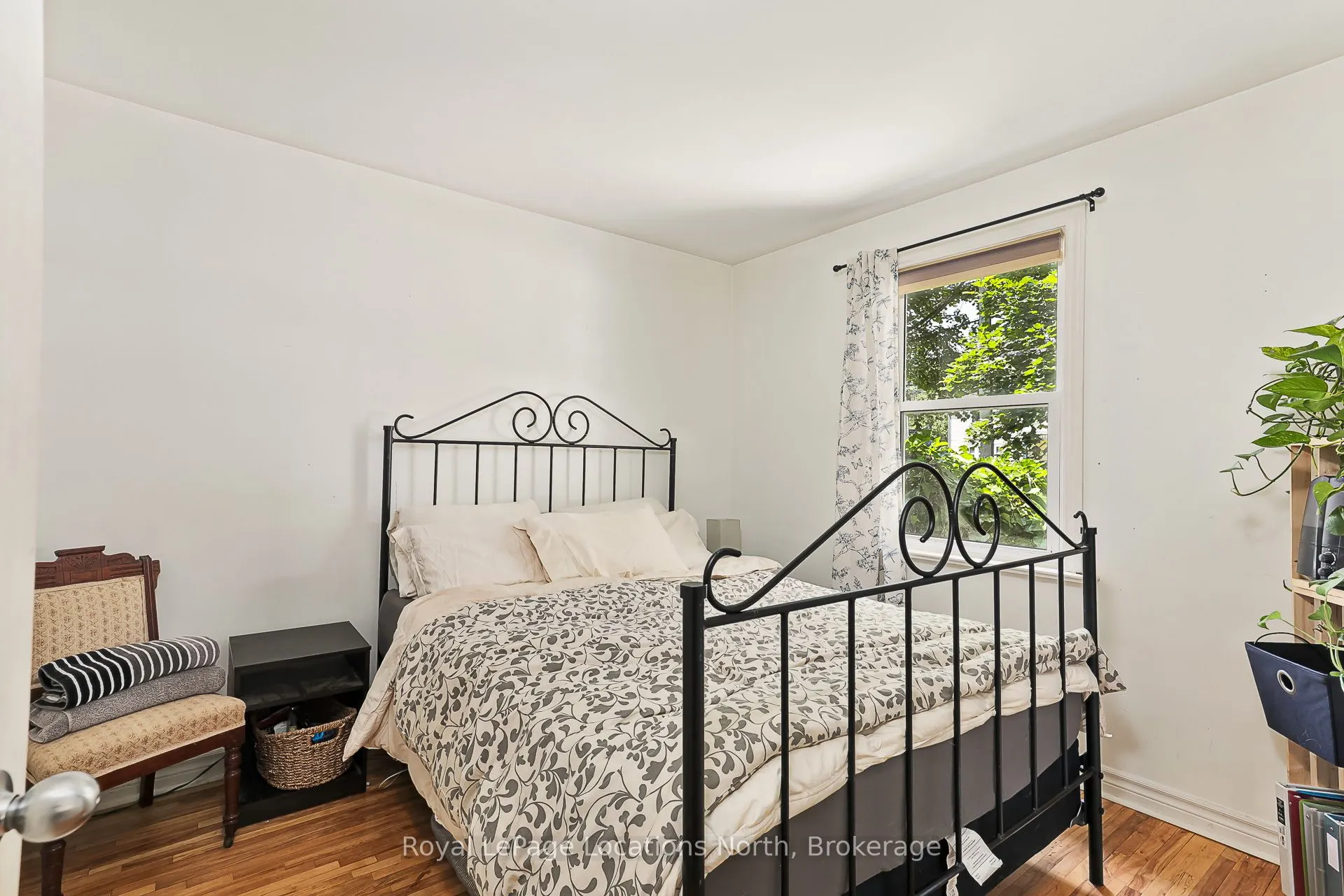 113 Bruce Street S