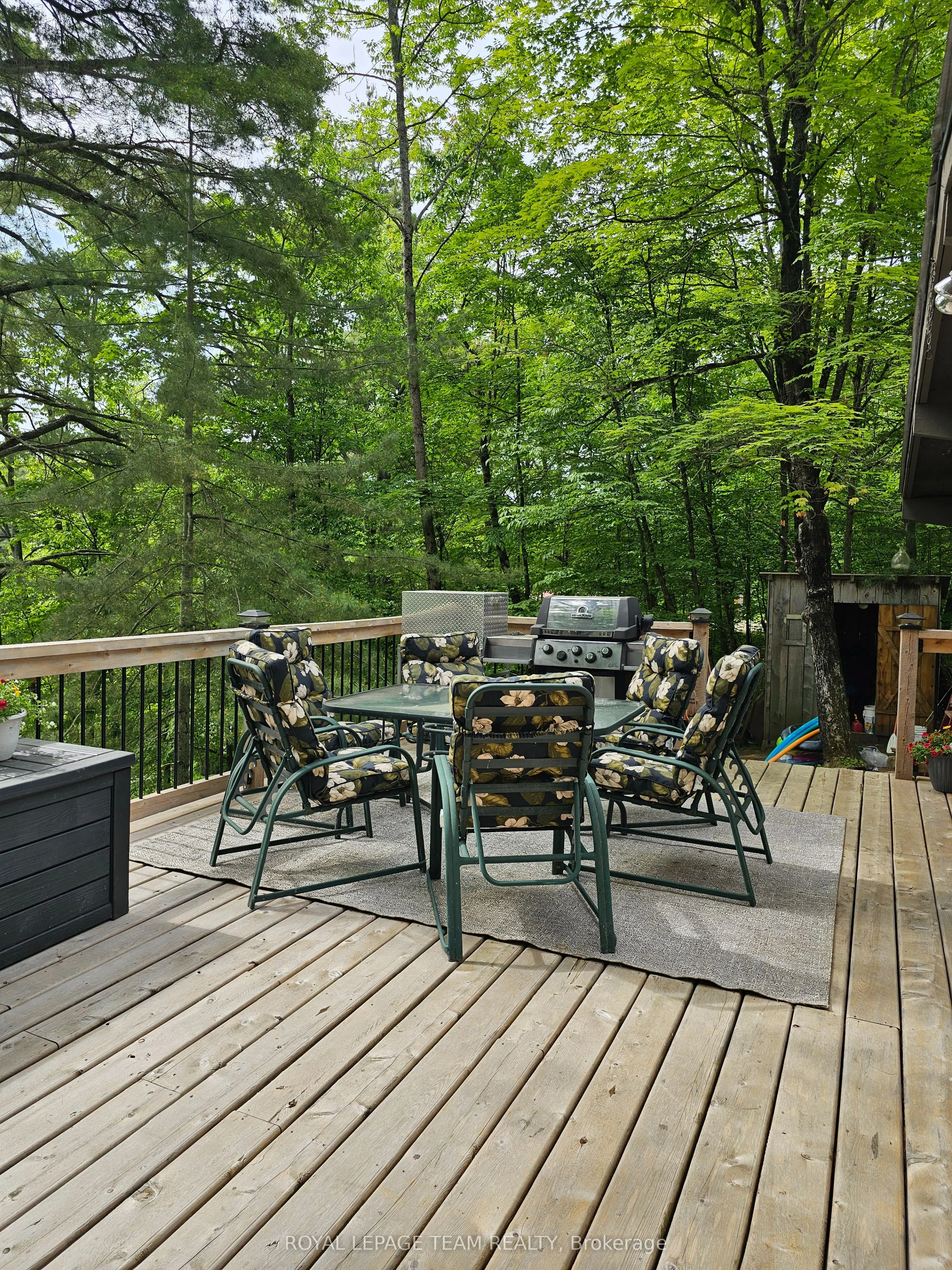 315 SILVERY Lane