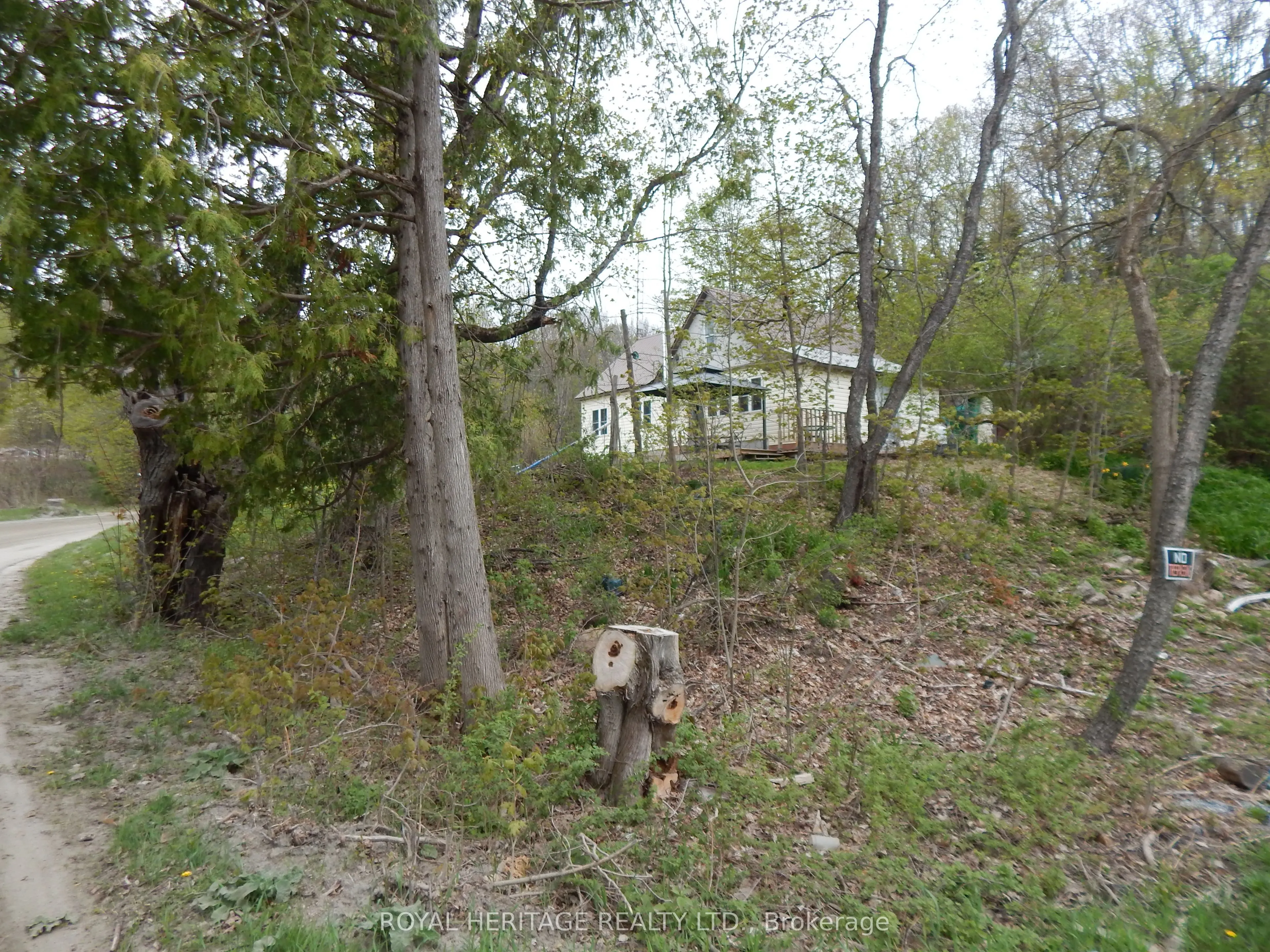 256 Trout Lake Road