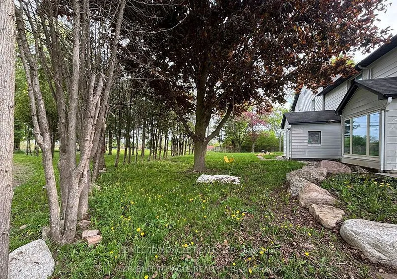 1381 Hwy 8 Highway, #2