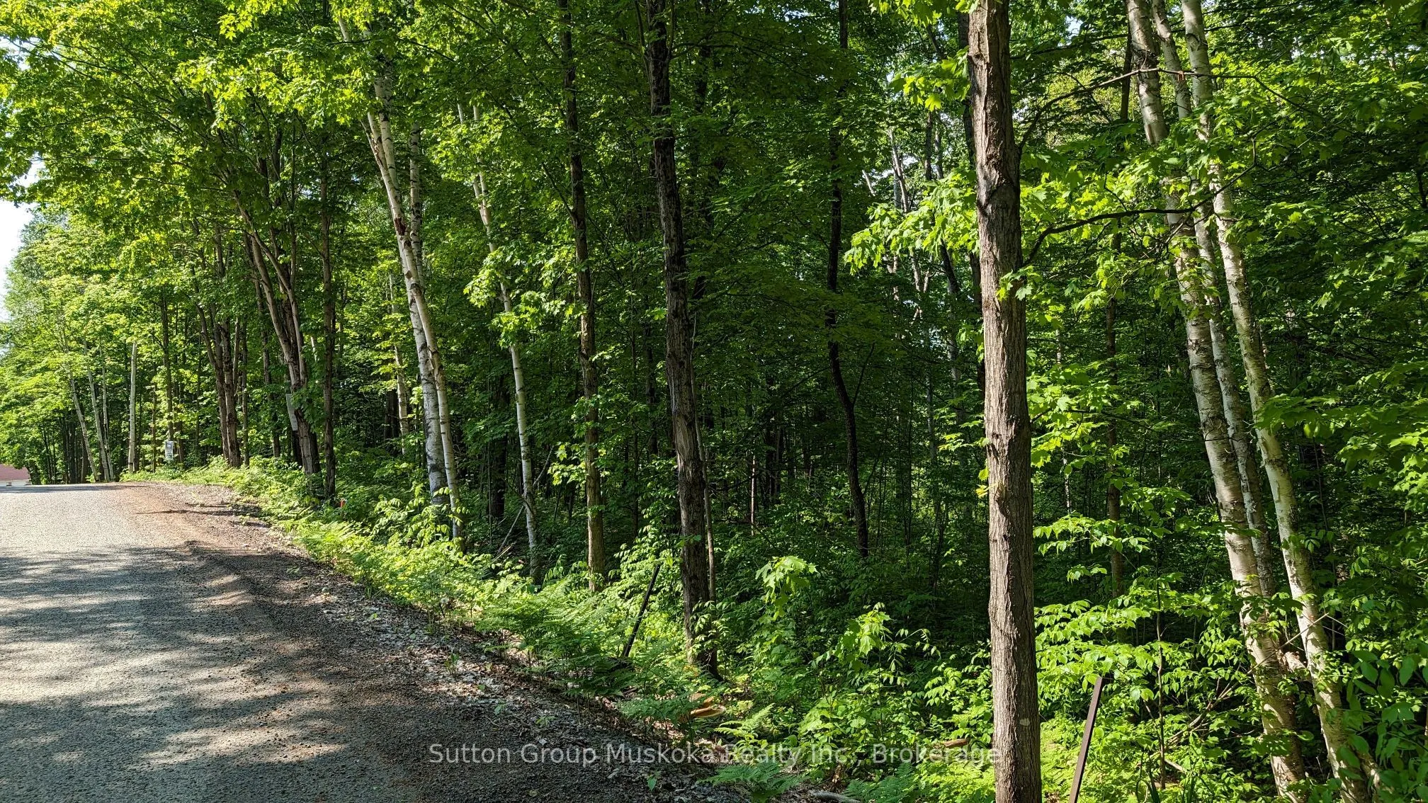 Lot 1 Tally-Ho Winter Park Road