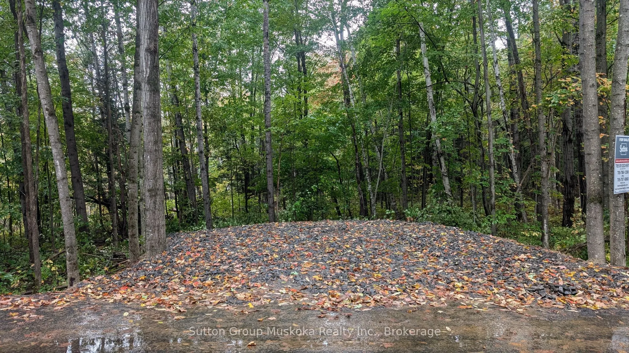 Lot 1 Tally-Ho Winter Park Road