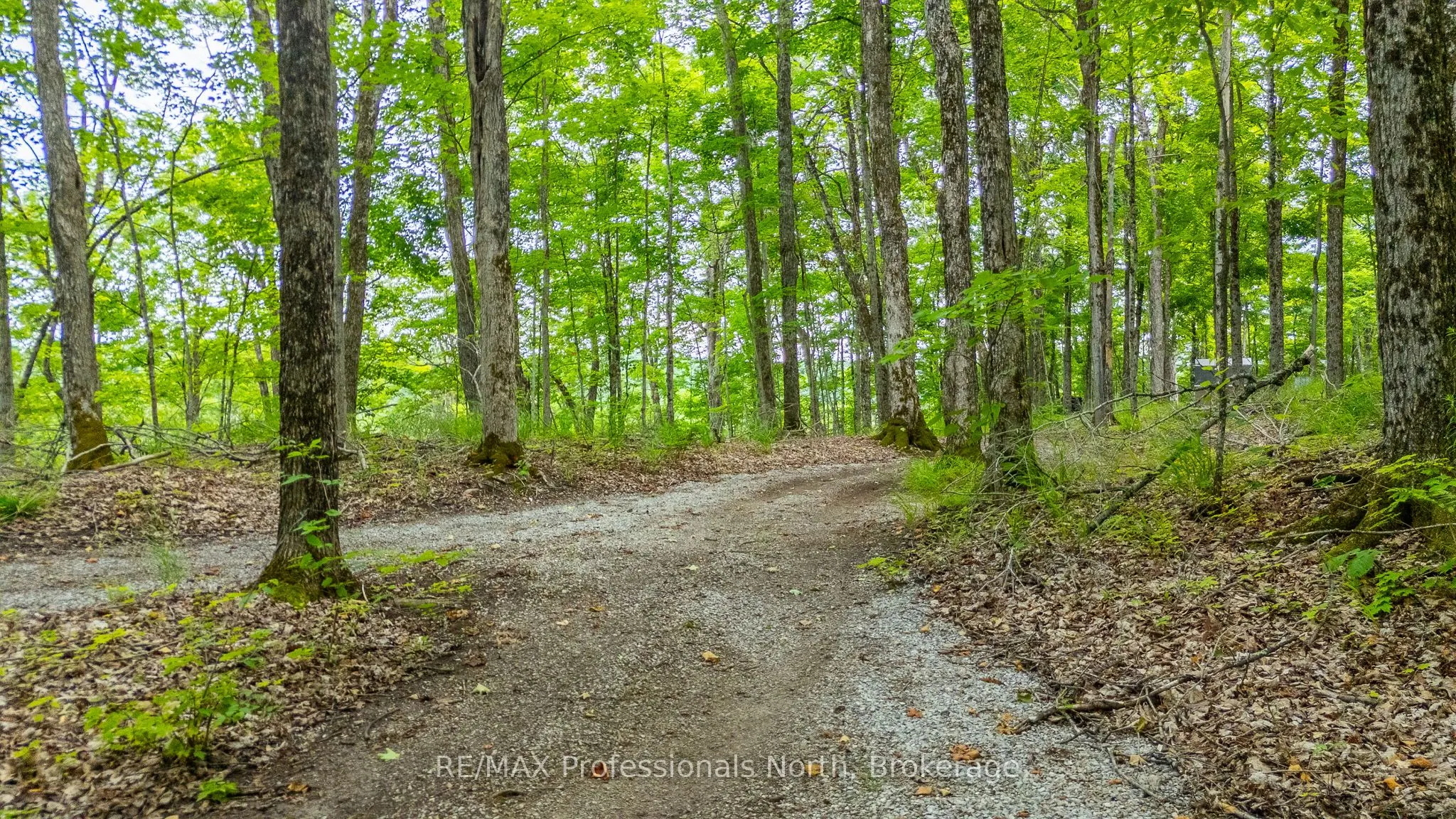 Hendersons Road
