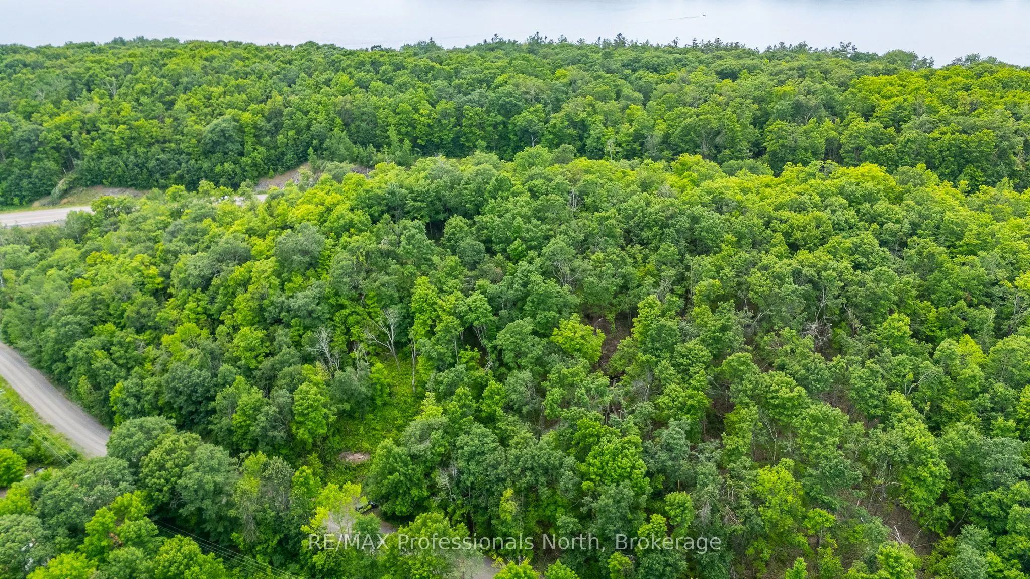 Hendersons Road