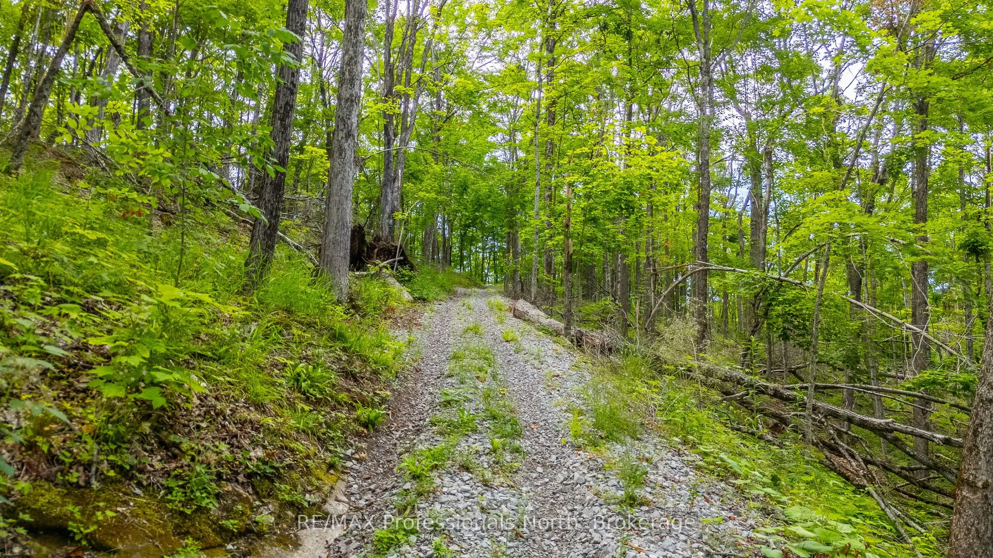 Hendersons Road