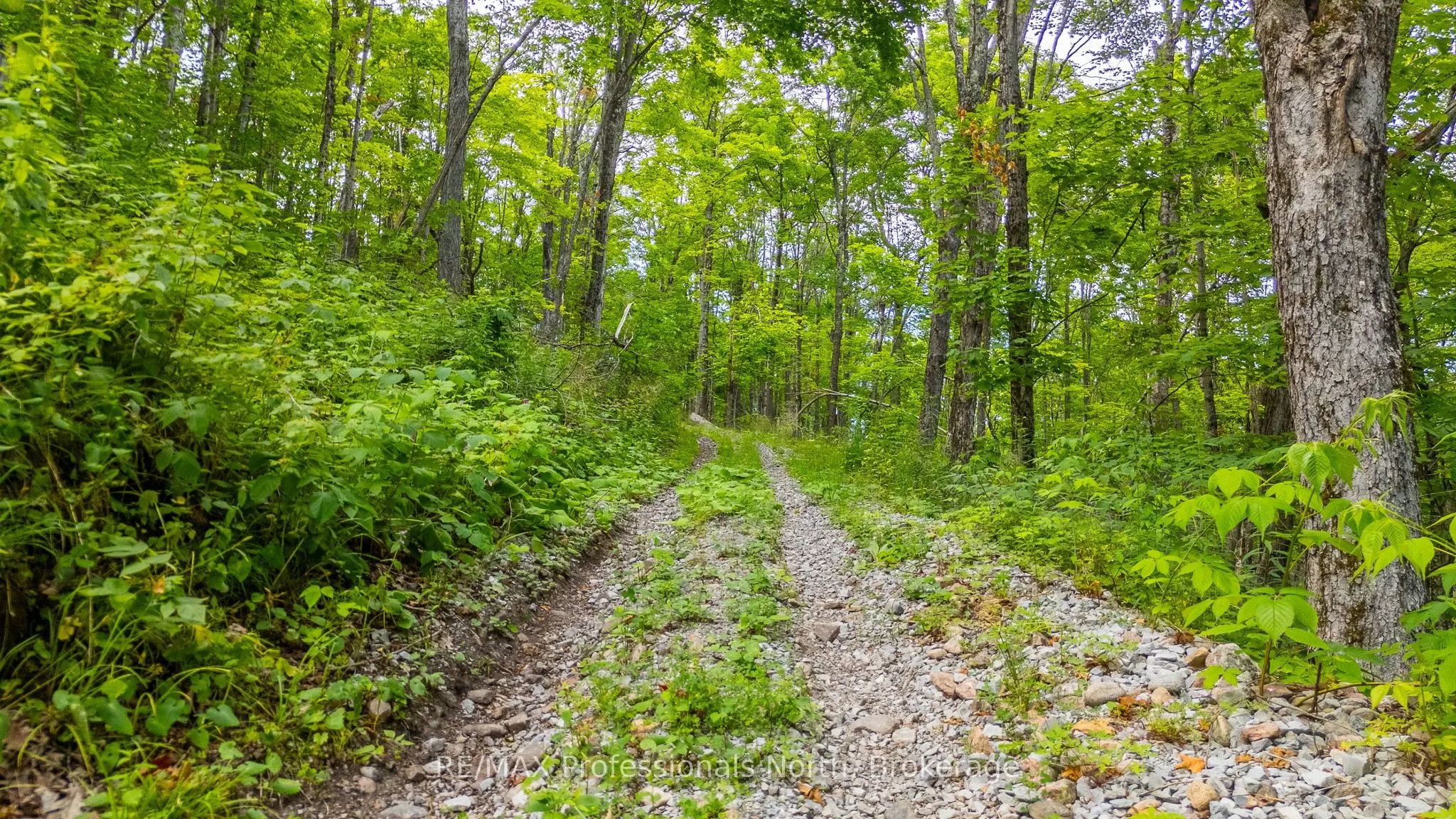 Hendersons Road
