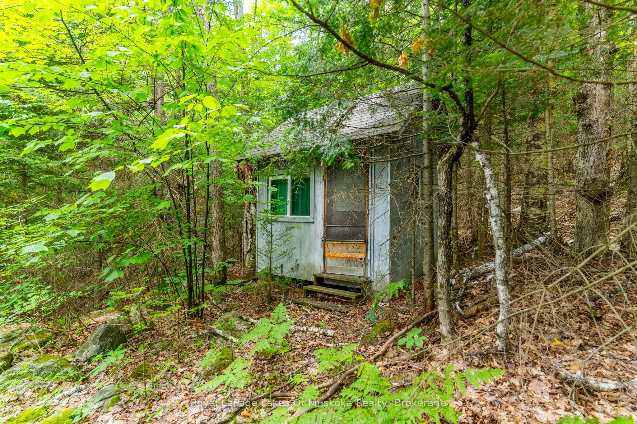 1236 Grace Road