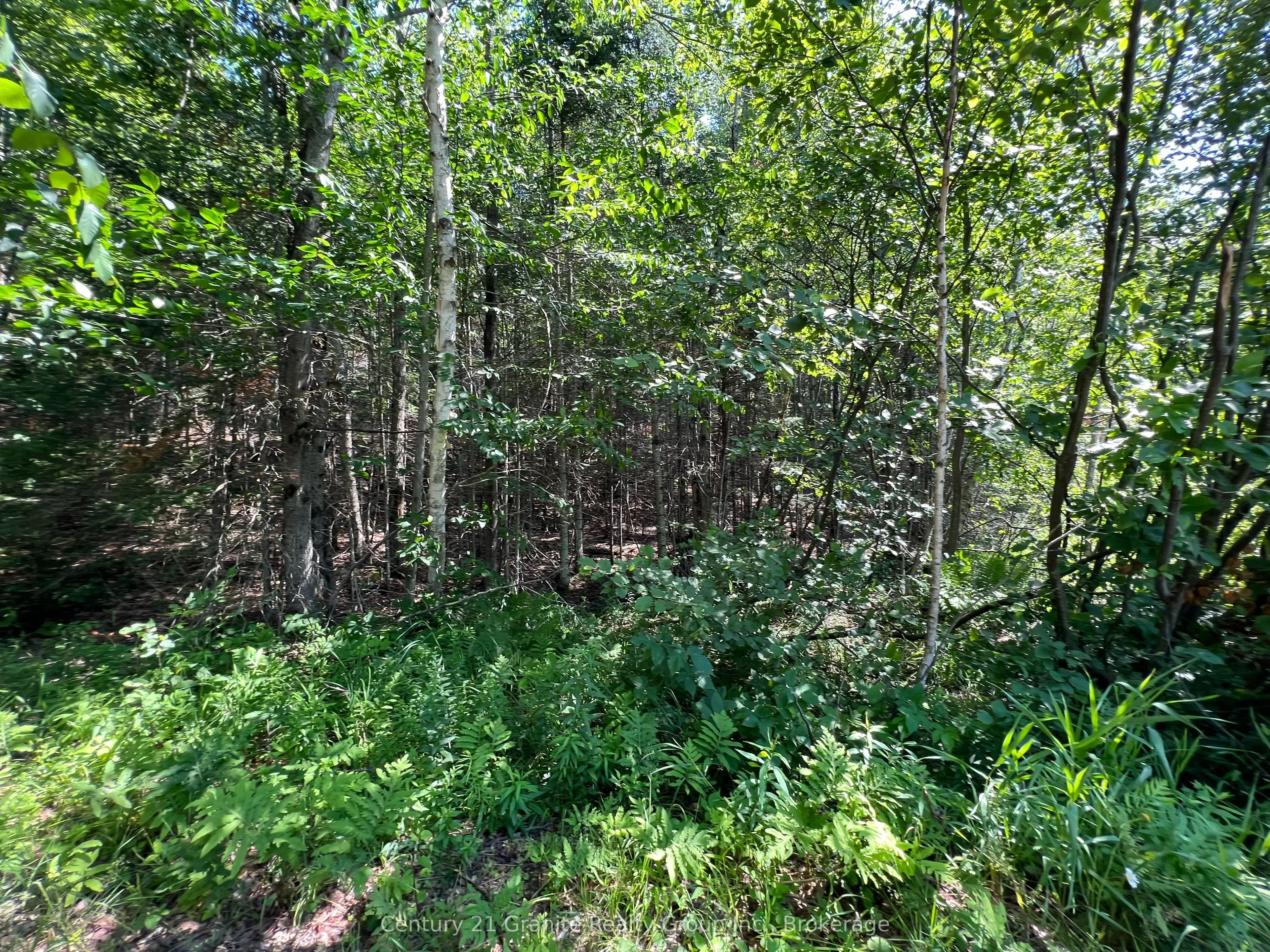 LOT 29 WEST Court