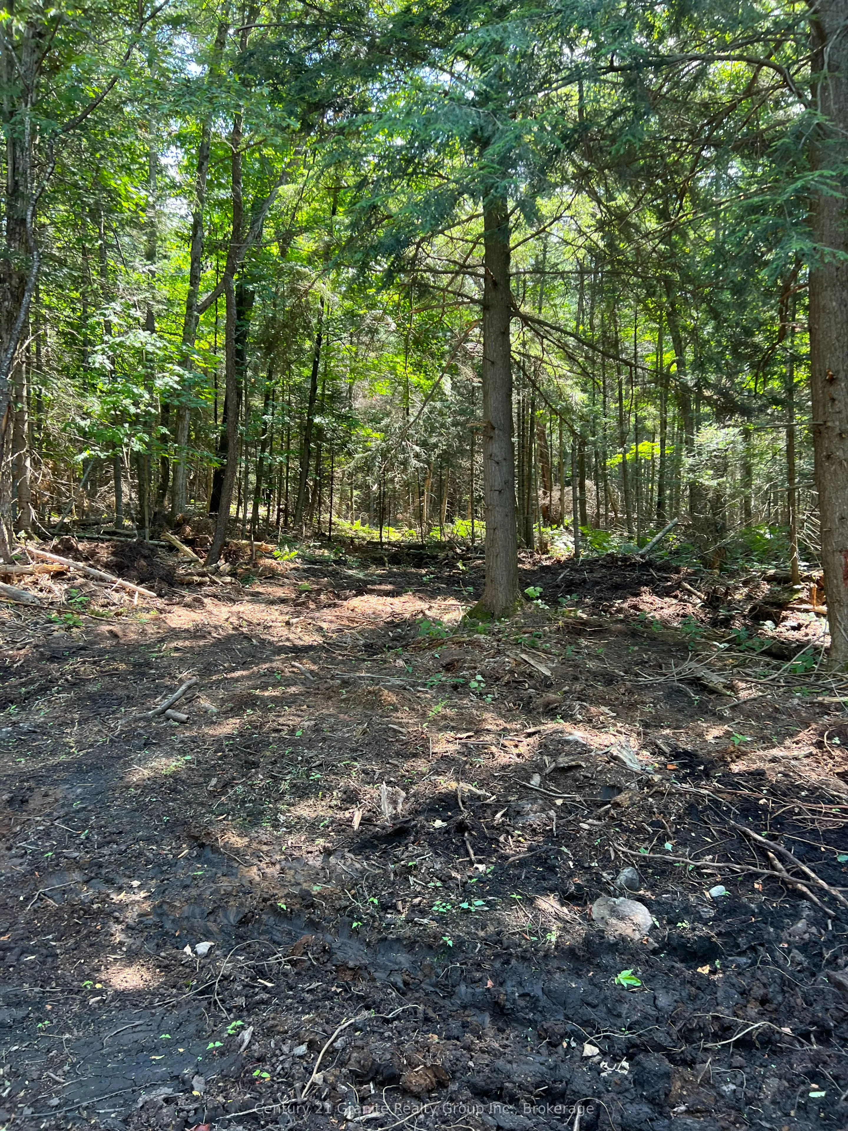 LOT 29 WEST Court