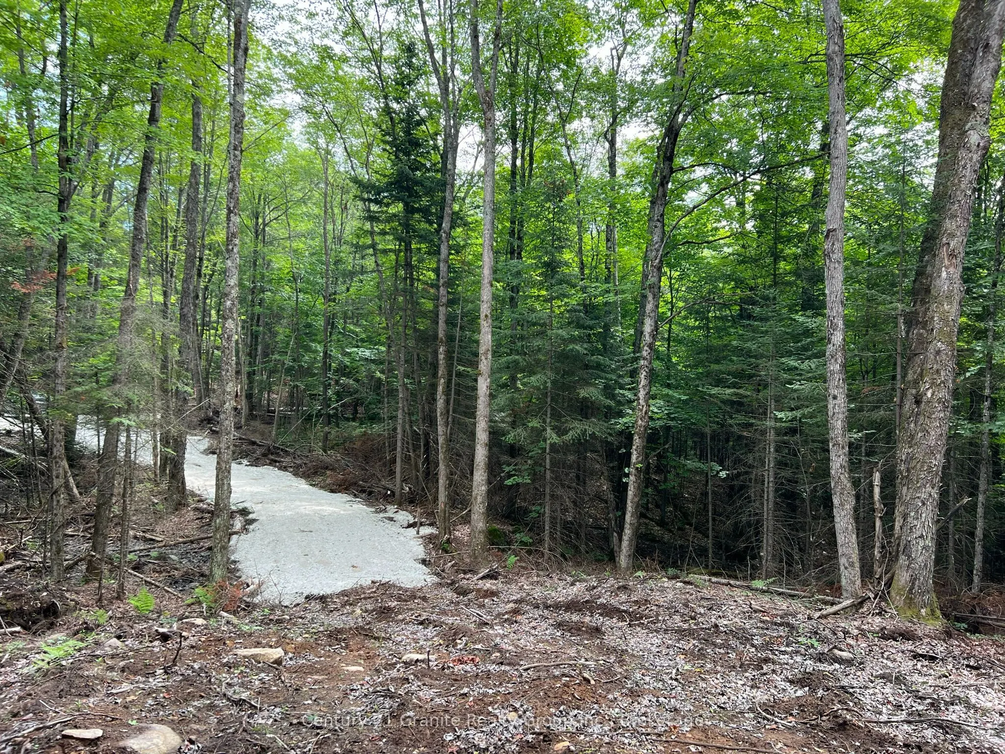 LOT 26 WEST Court
