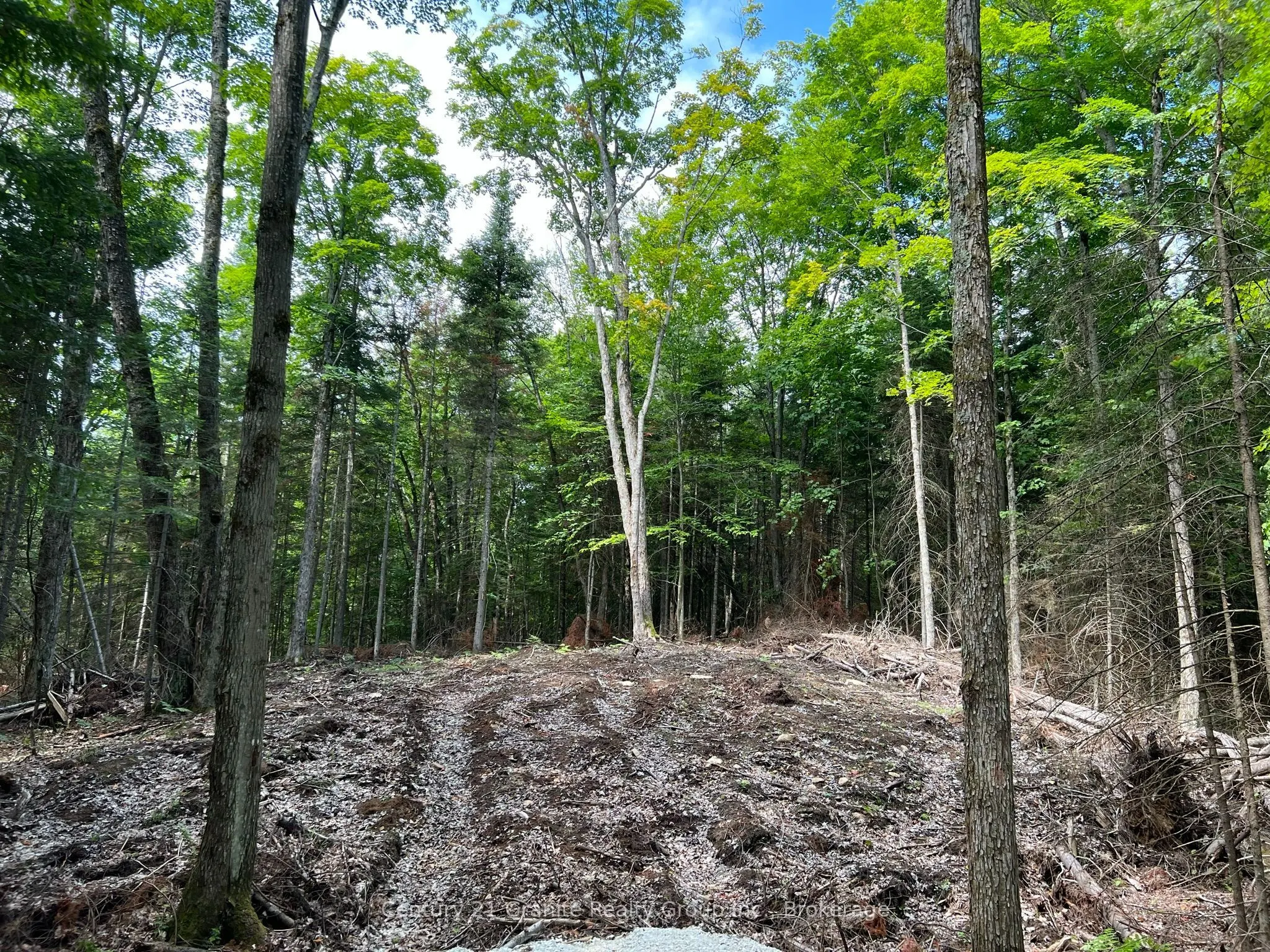 LOT 26 WEST Court