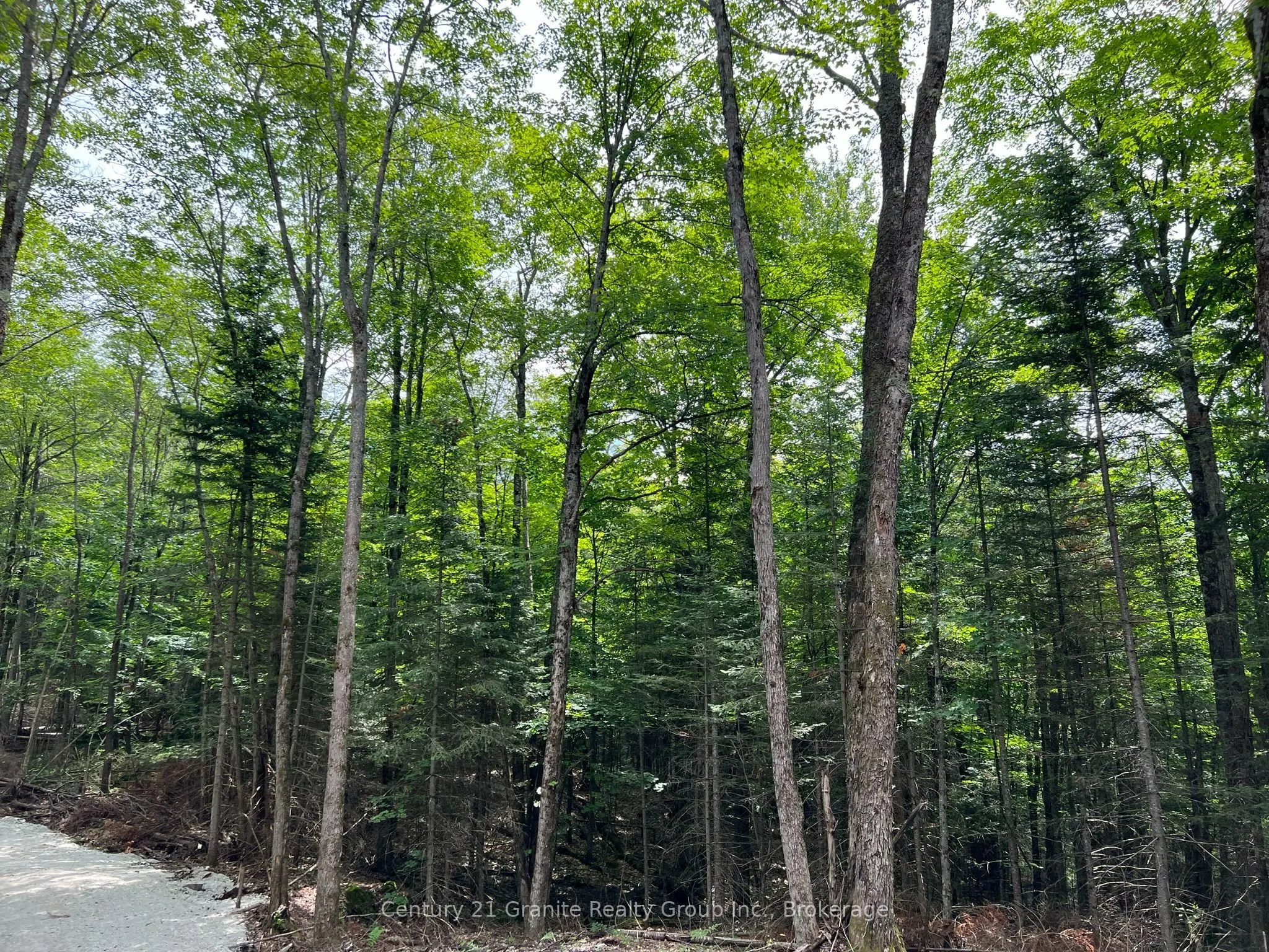 LOT 26 WEST Court
