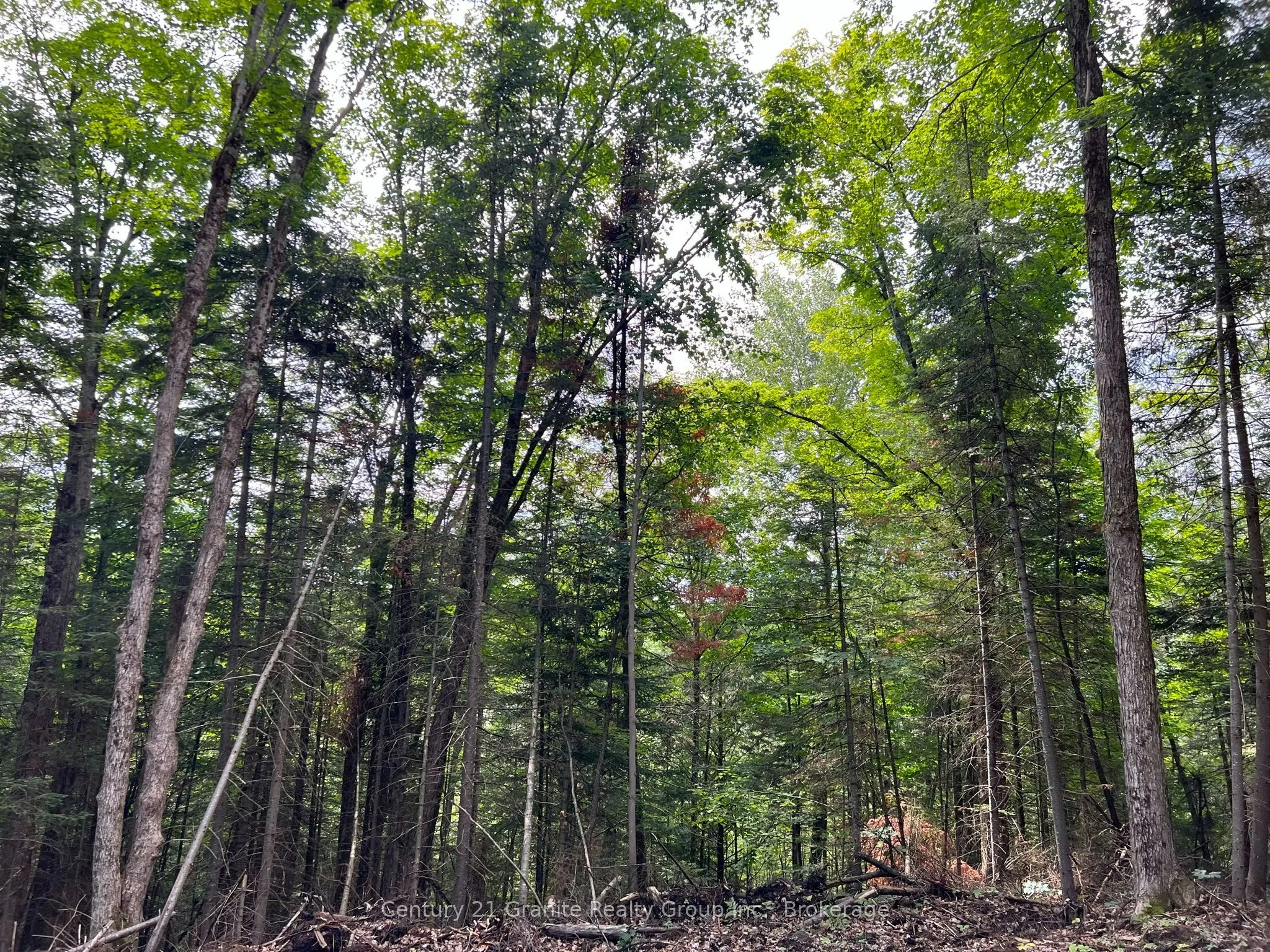 LOT 26 WEST Court