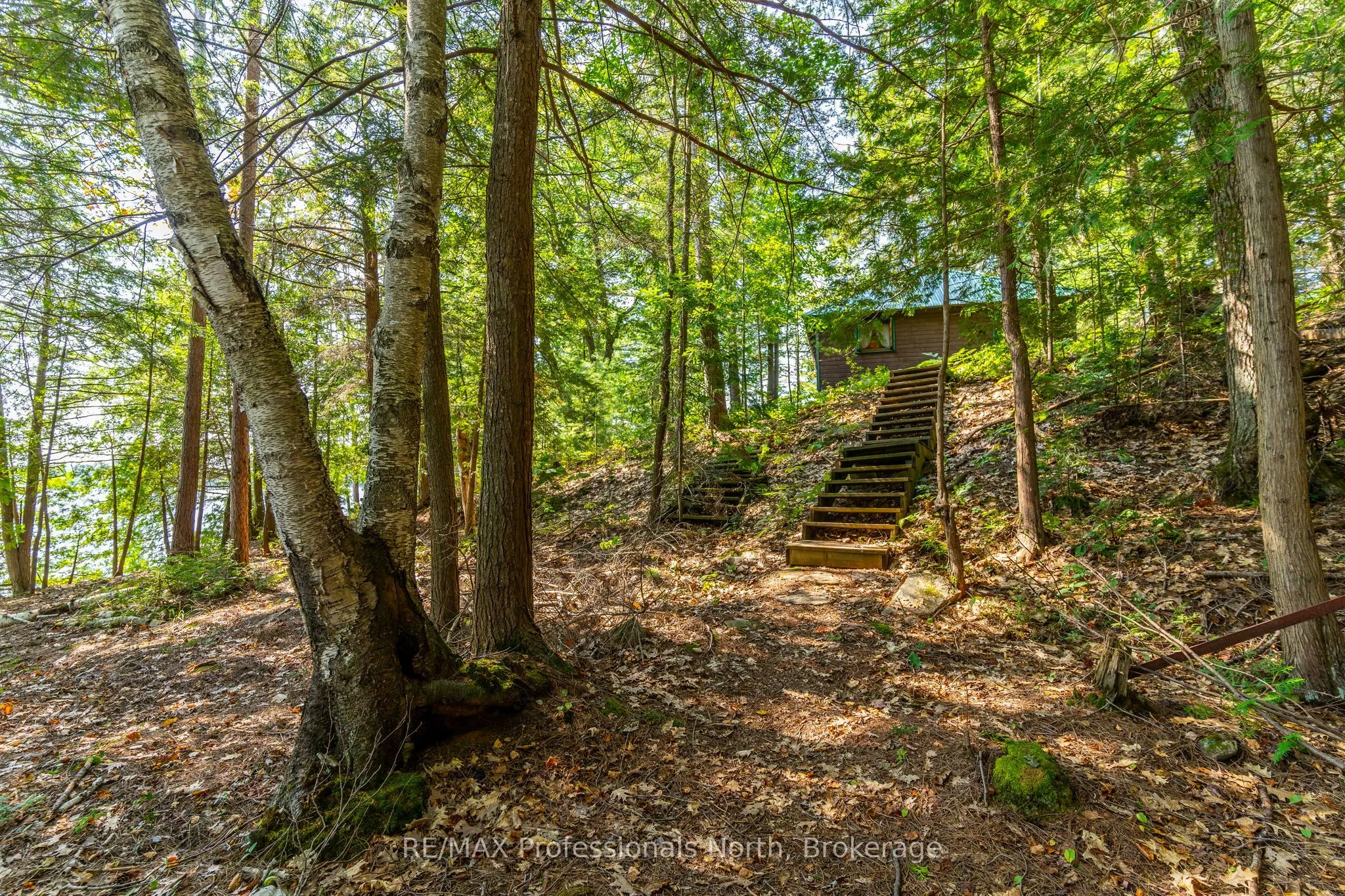 13055 Little Hawk South Shore Road