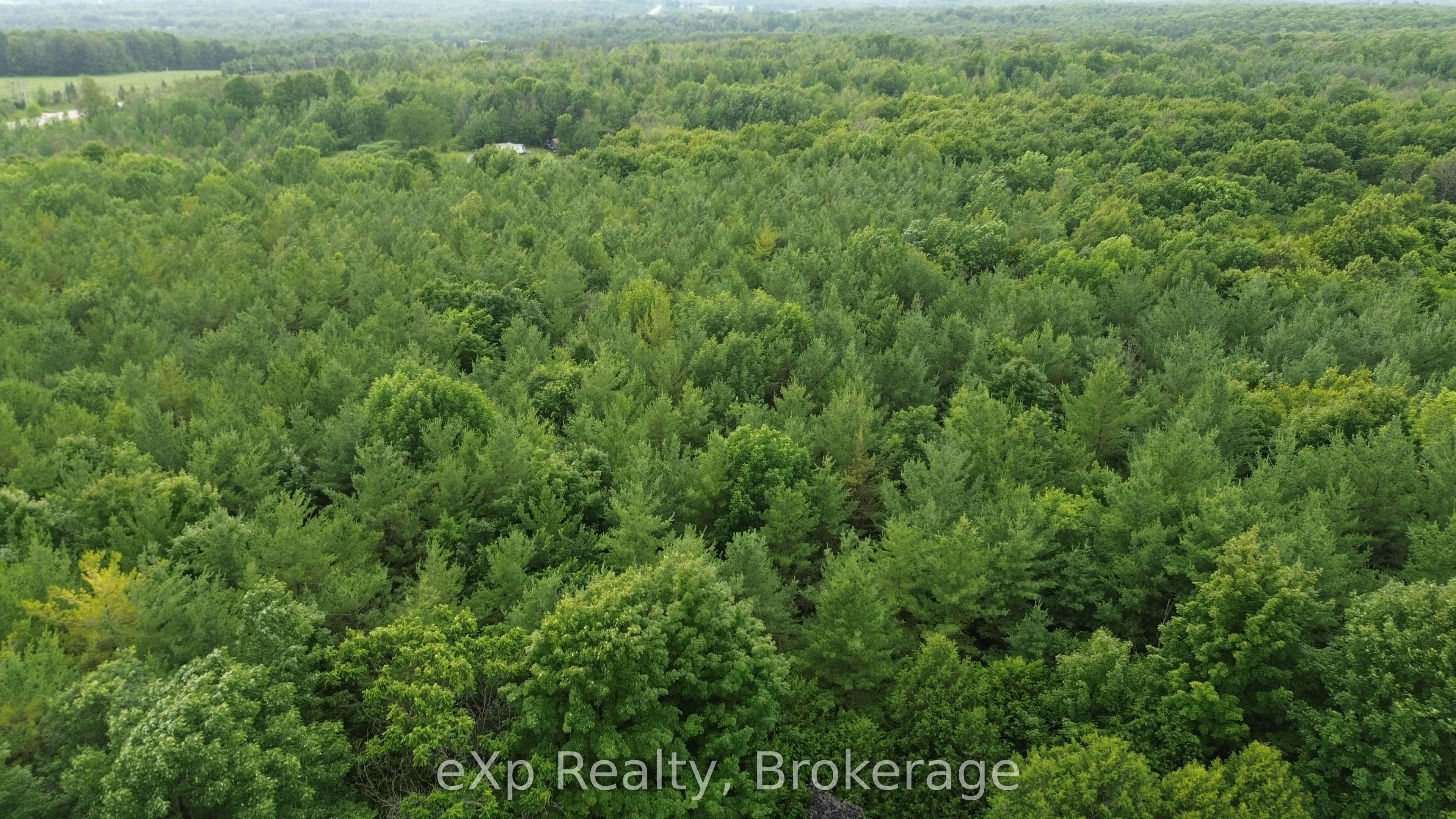 720227 SIDEROAD 20 Side Road