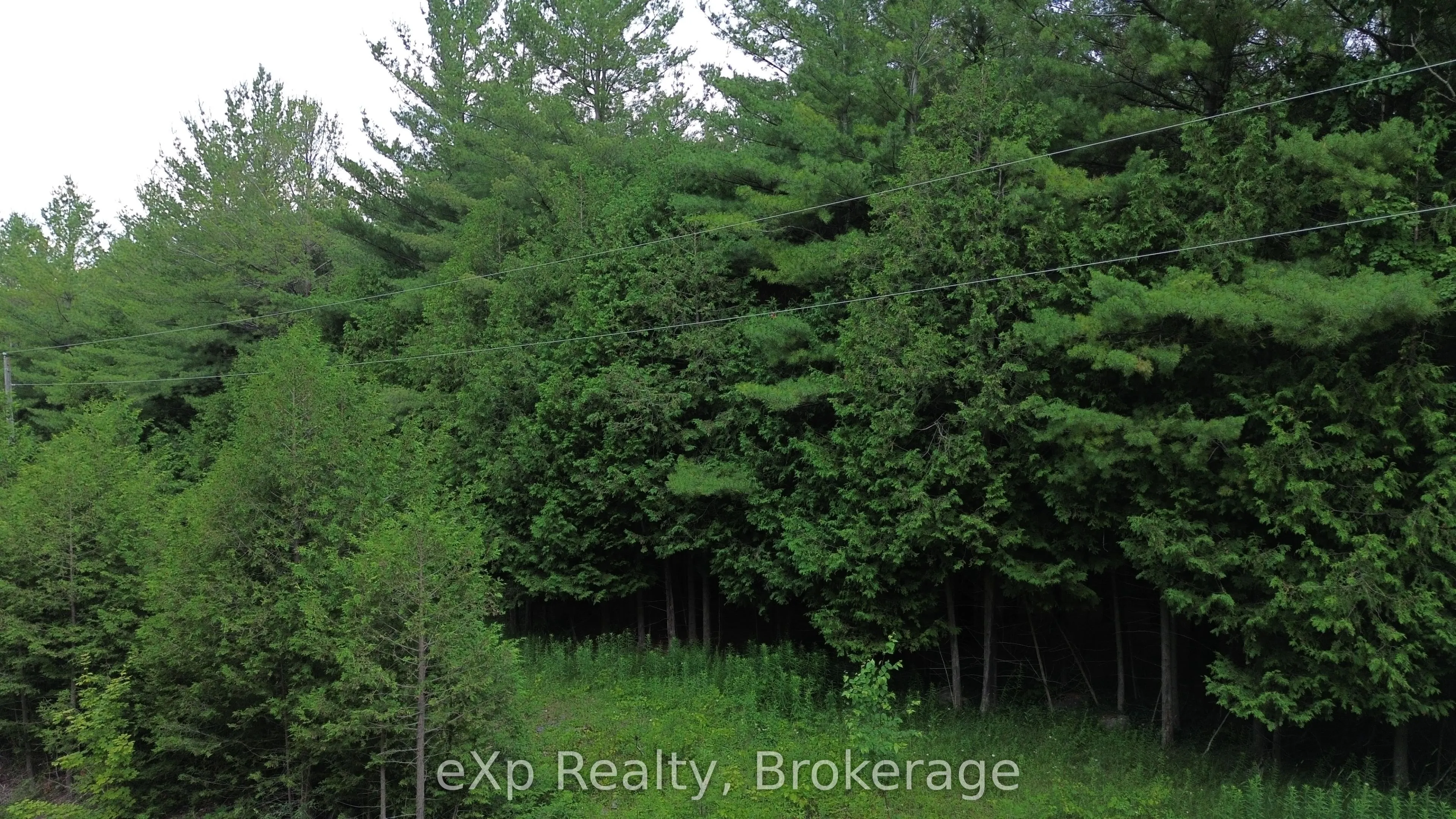 720227 SIDEROAD 20 Side Road