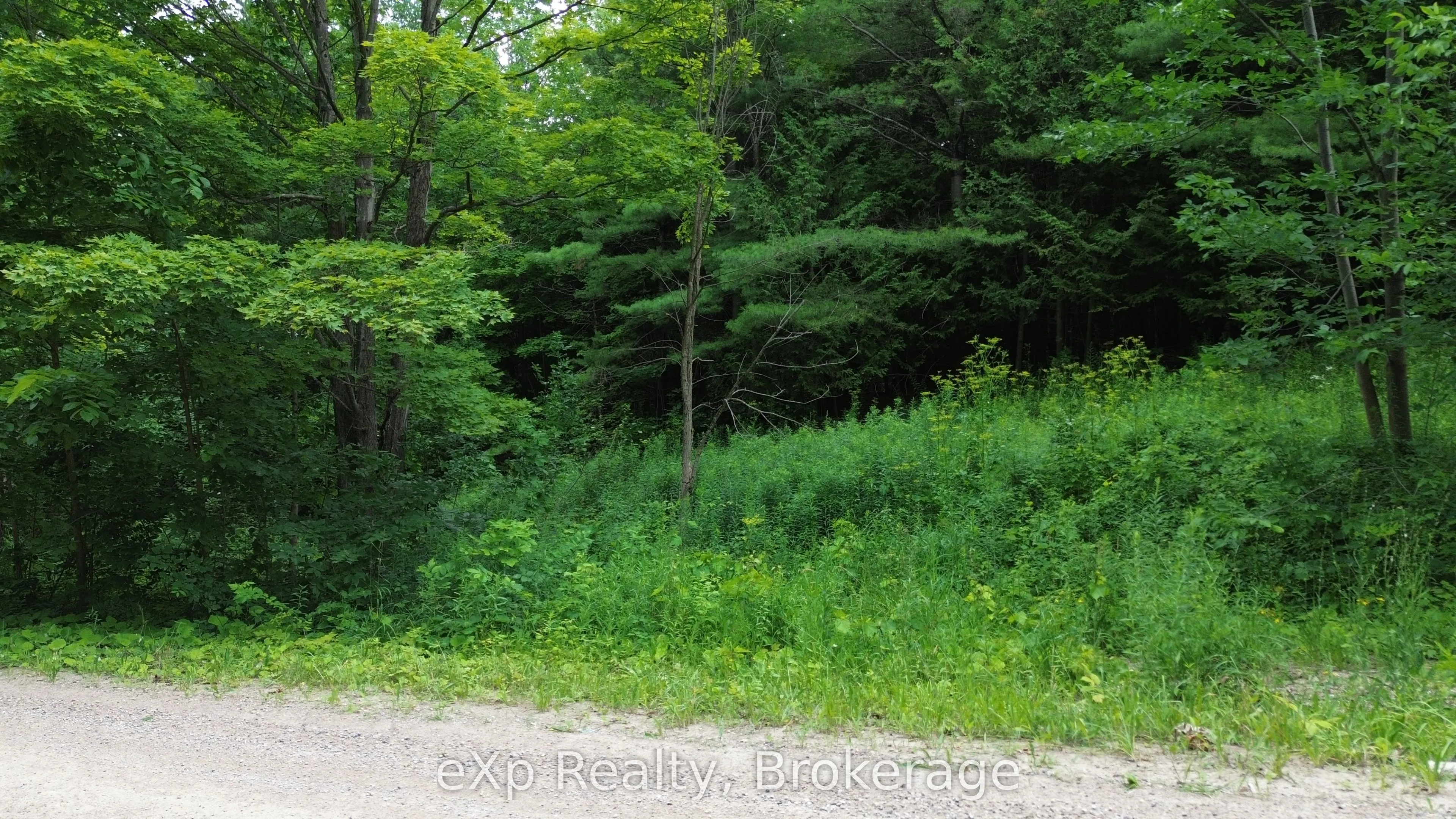 720227 SIDEROAD 20 Side Road