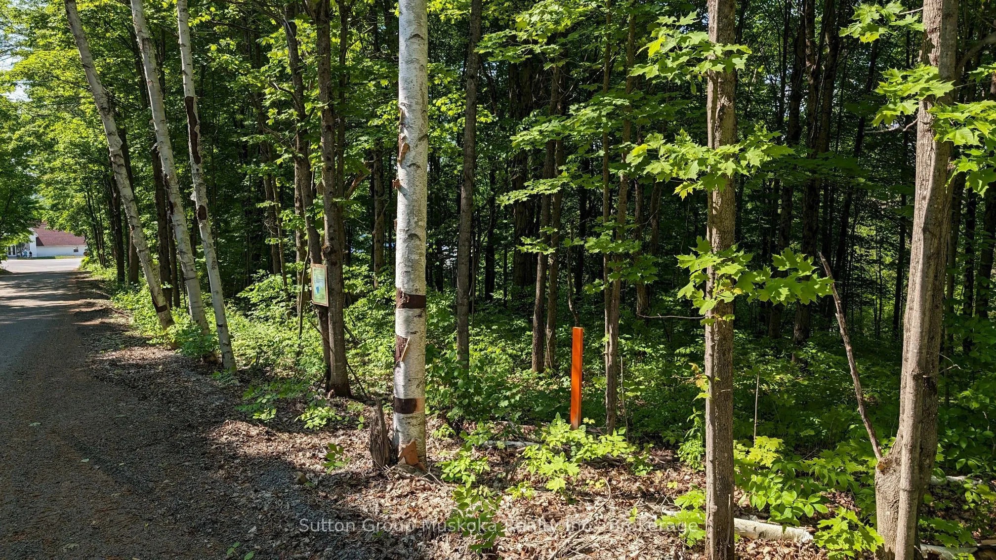 Lot 2 Tally-Ho Winter Park Road