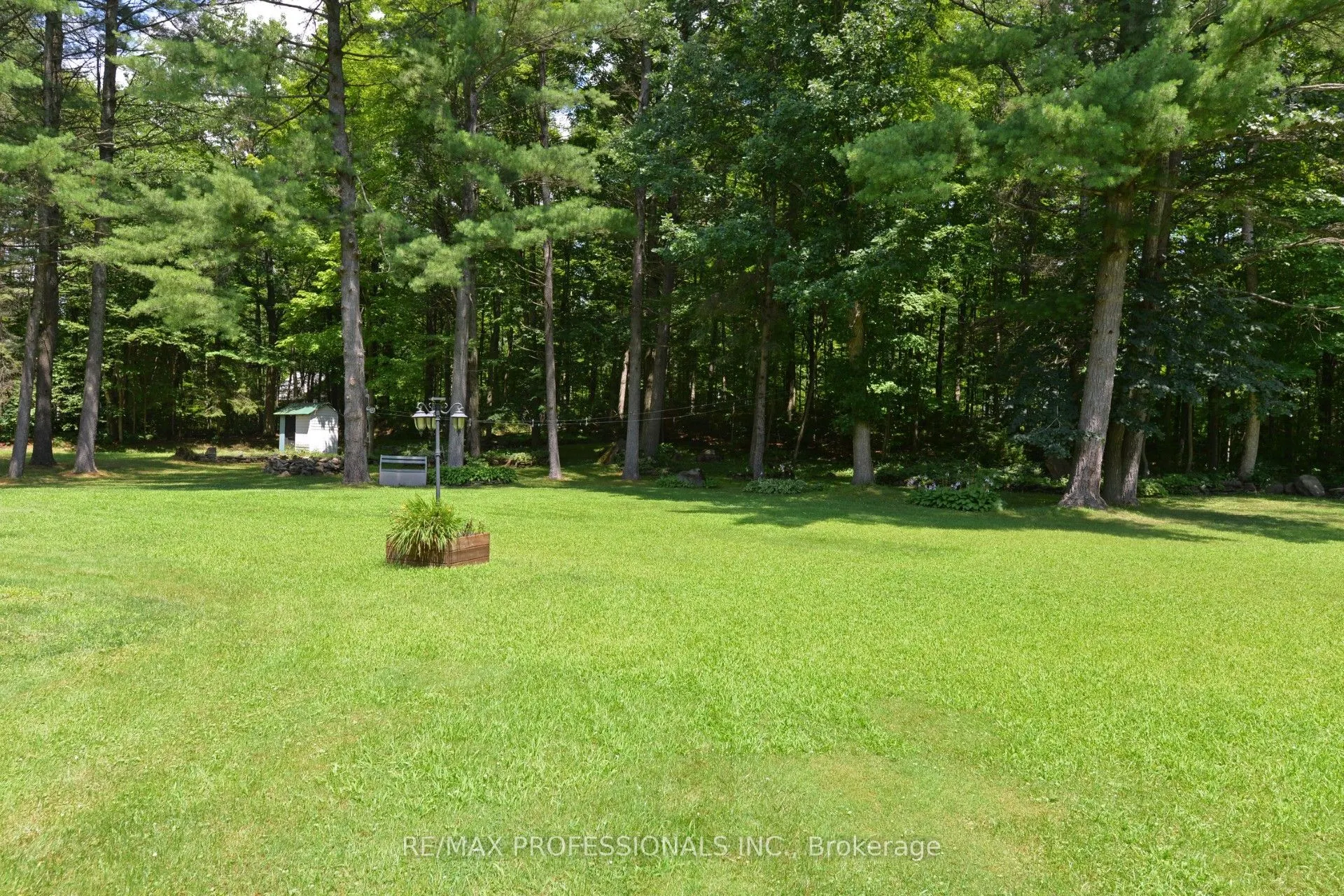 50 Pine Grove Road