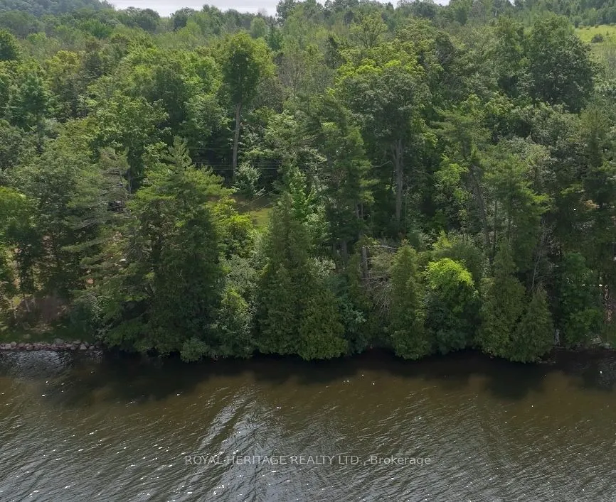 26 Cow Island