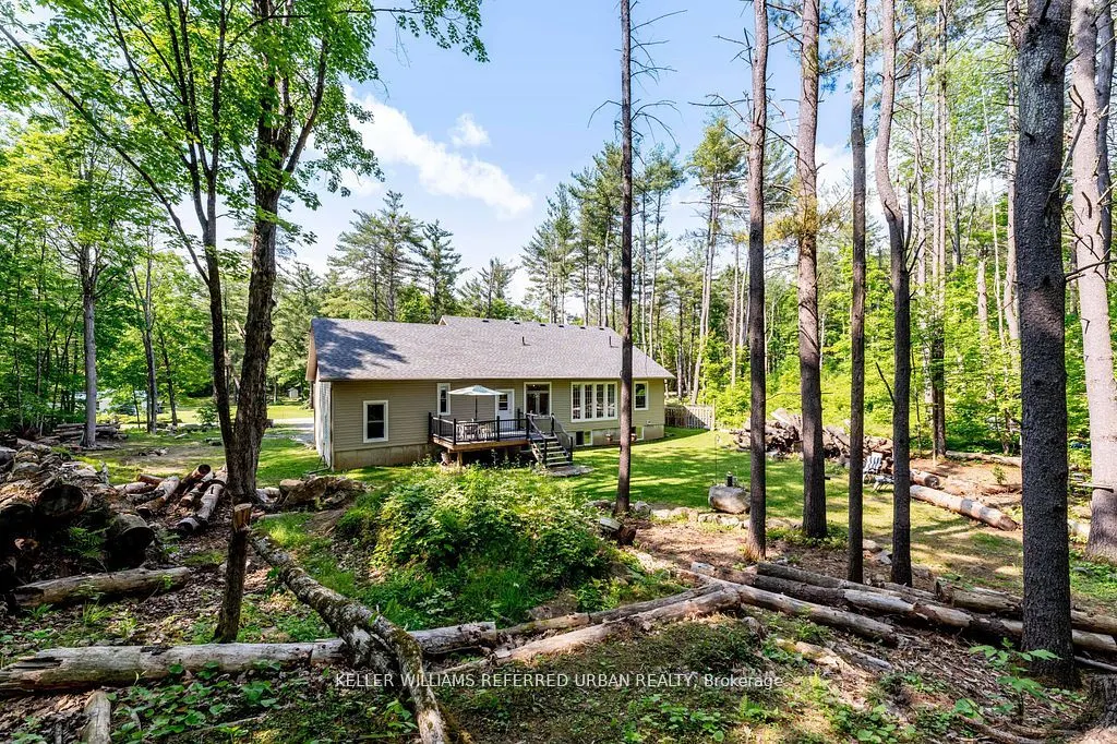 51 Pine Grove Road